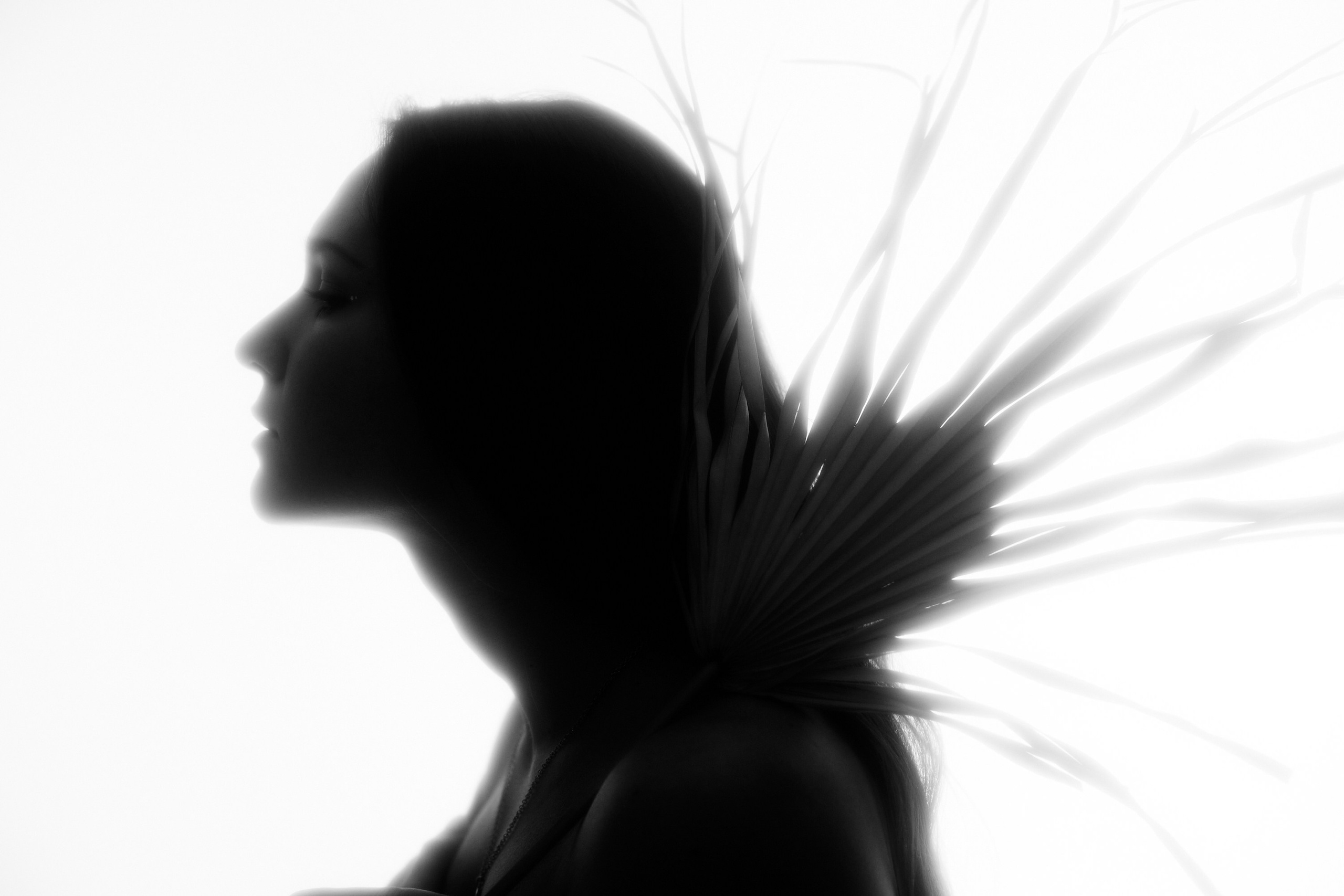 Силуэты. Фотохудожник Елена Криулина