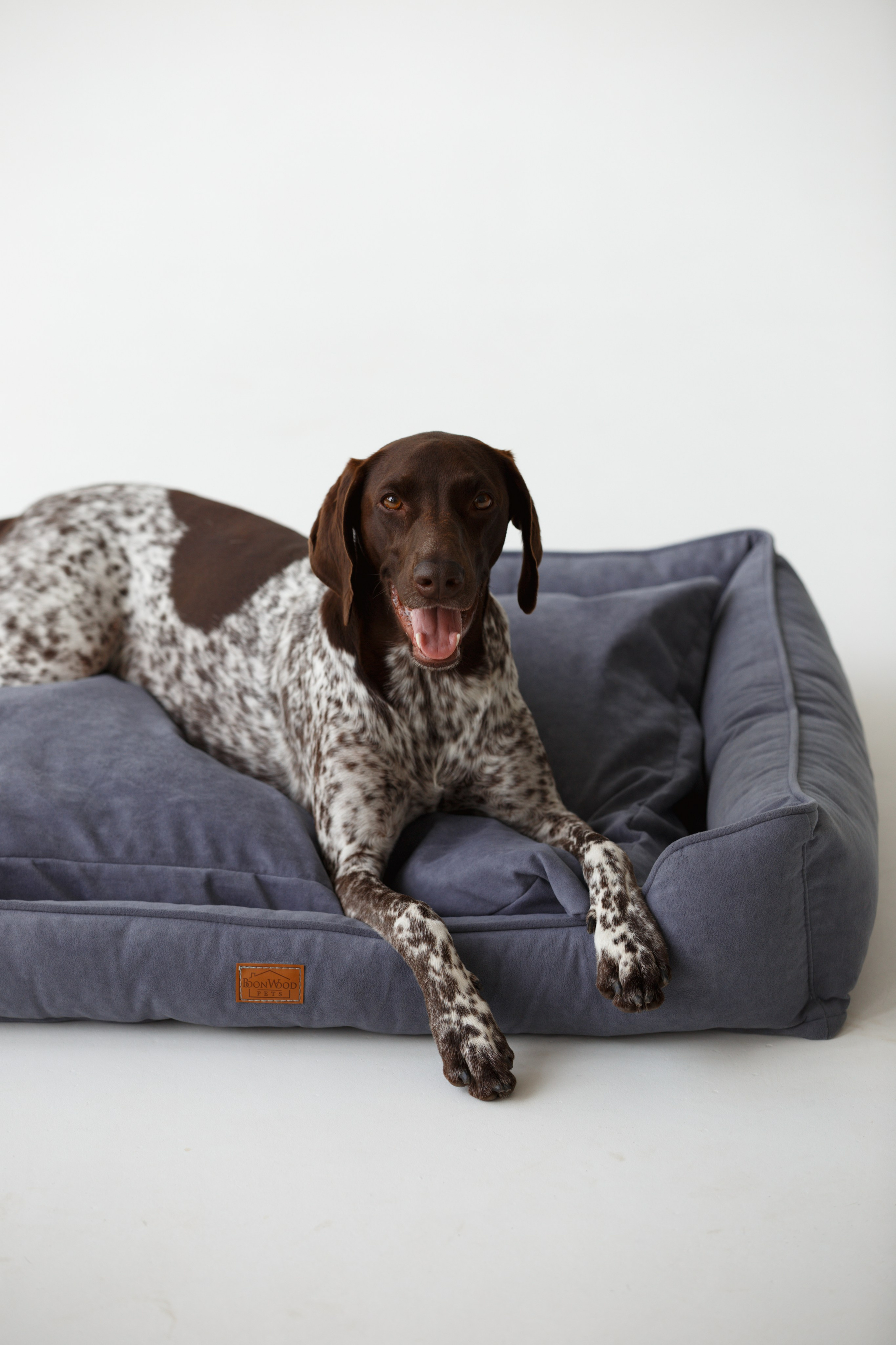 Boonwood Pets лежанки для животных. Фотограф анималист Кристина Карпова, Москва