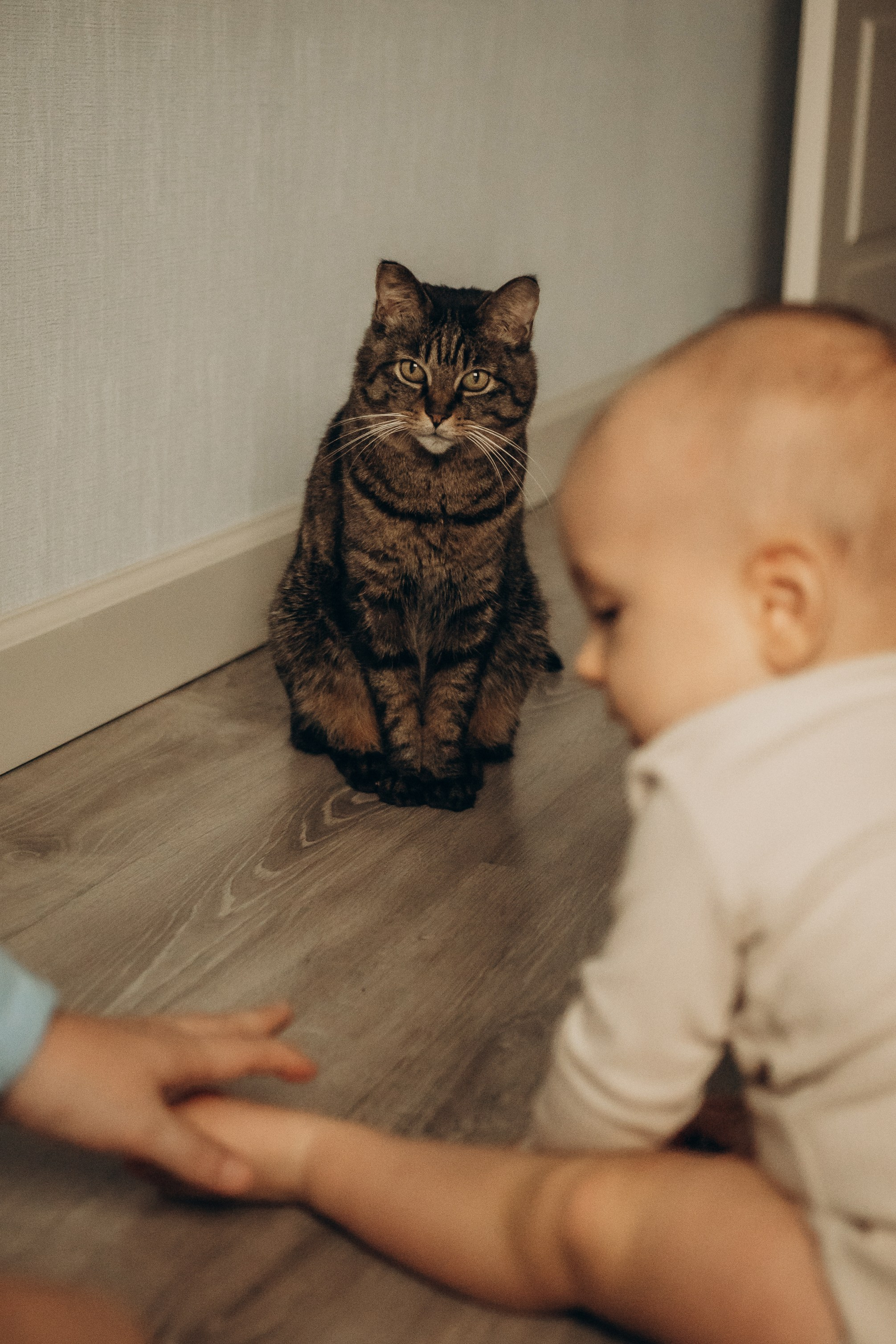 Екатерина и Вася. Гаврилова Настя семейный фотограф lifestyle в Москве