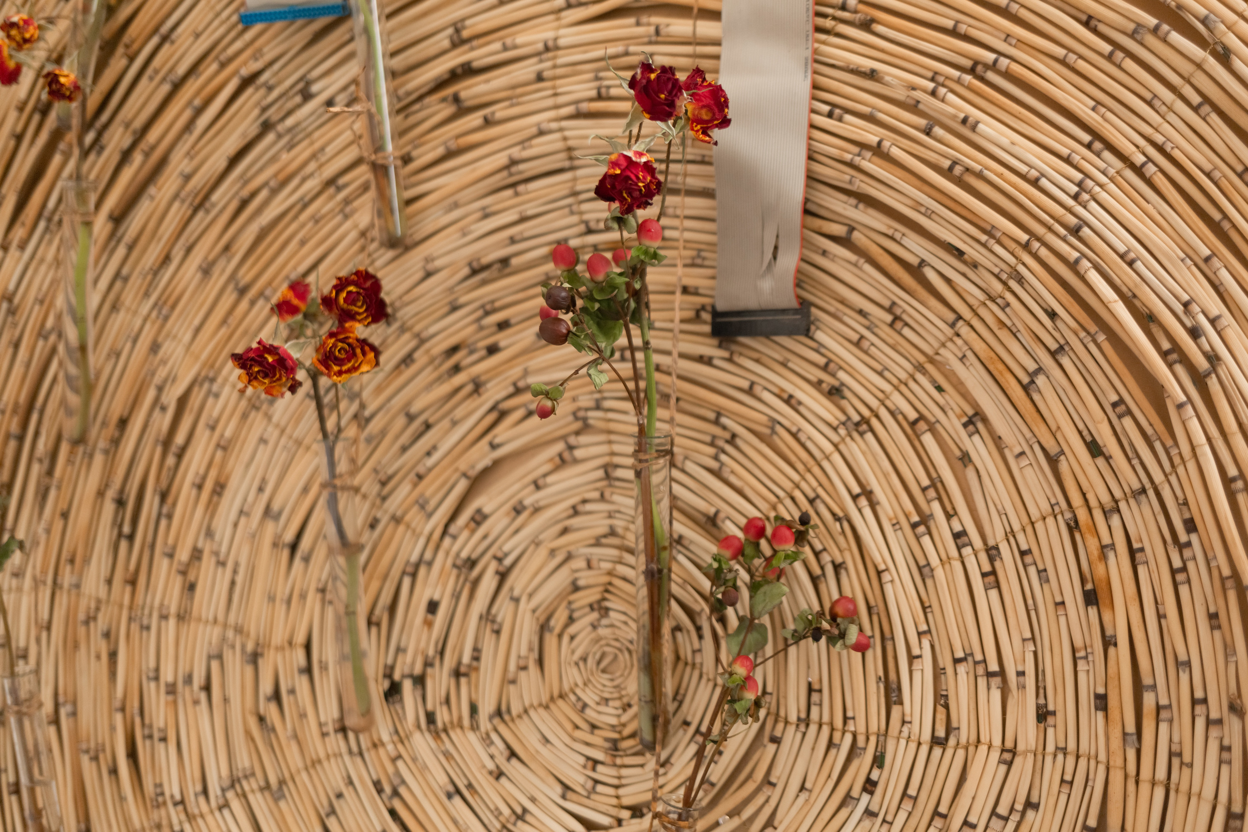 Flowers. Семейный и женский фотограф в Челябинске Замятина Ольга