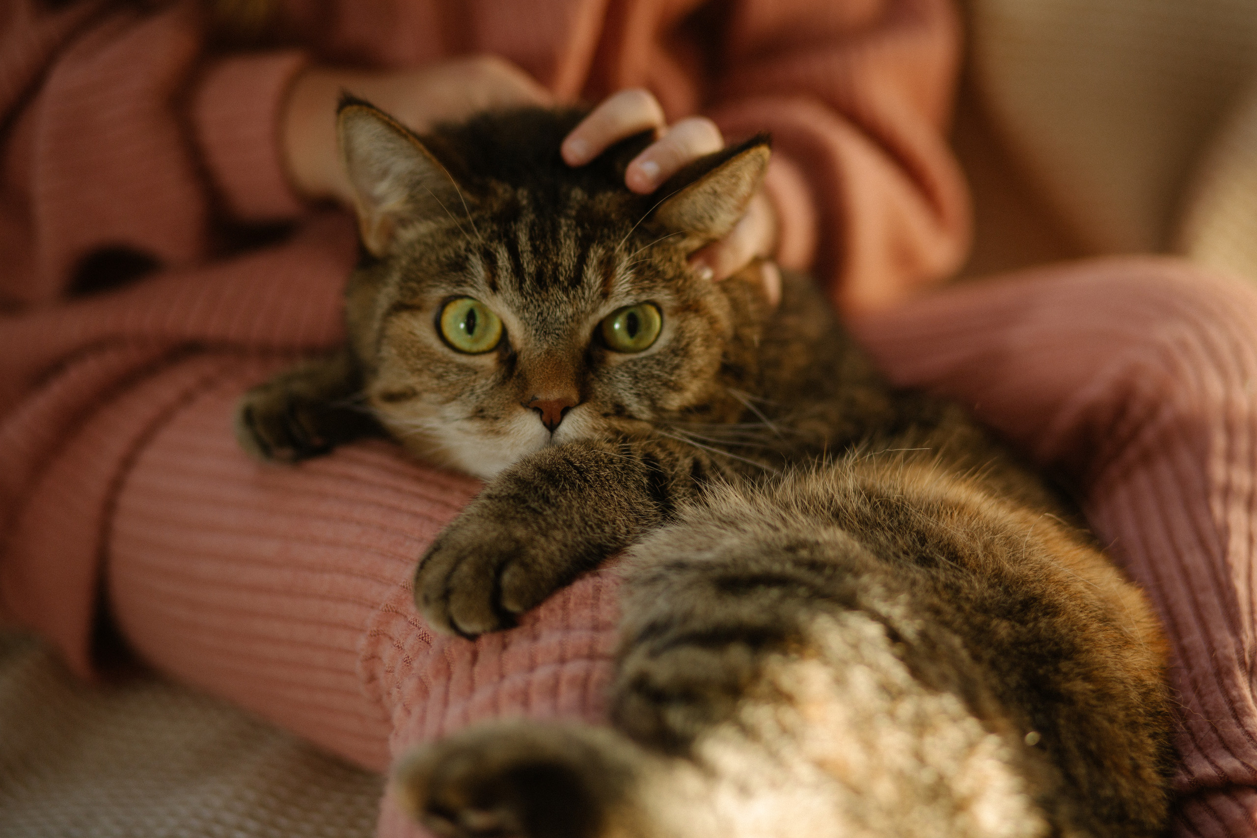 Дома тепло и уютно. Семейный и женский фотограф в Челябинске Замятина Ольга