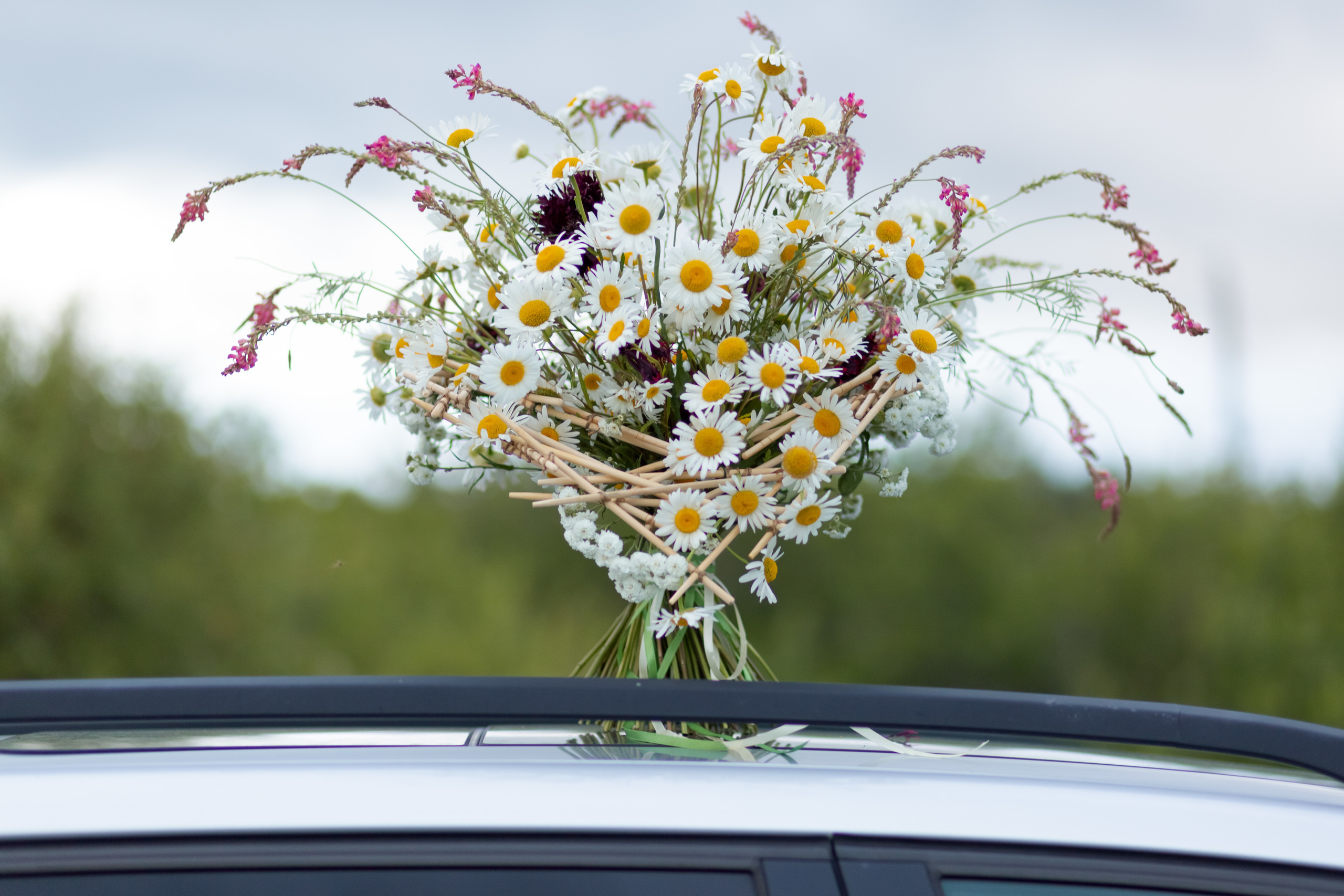 Flowers. Семейный и женский фотограф в Челябинске Замятина Ольга