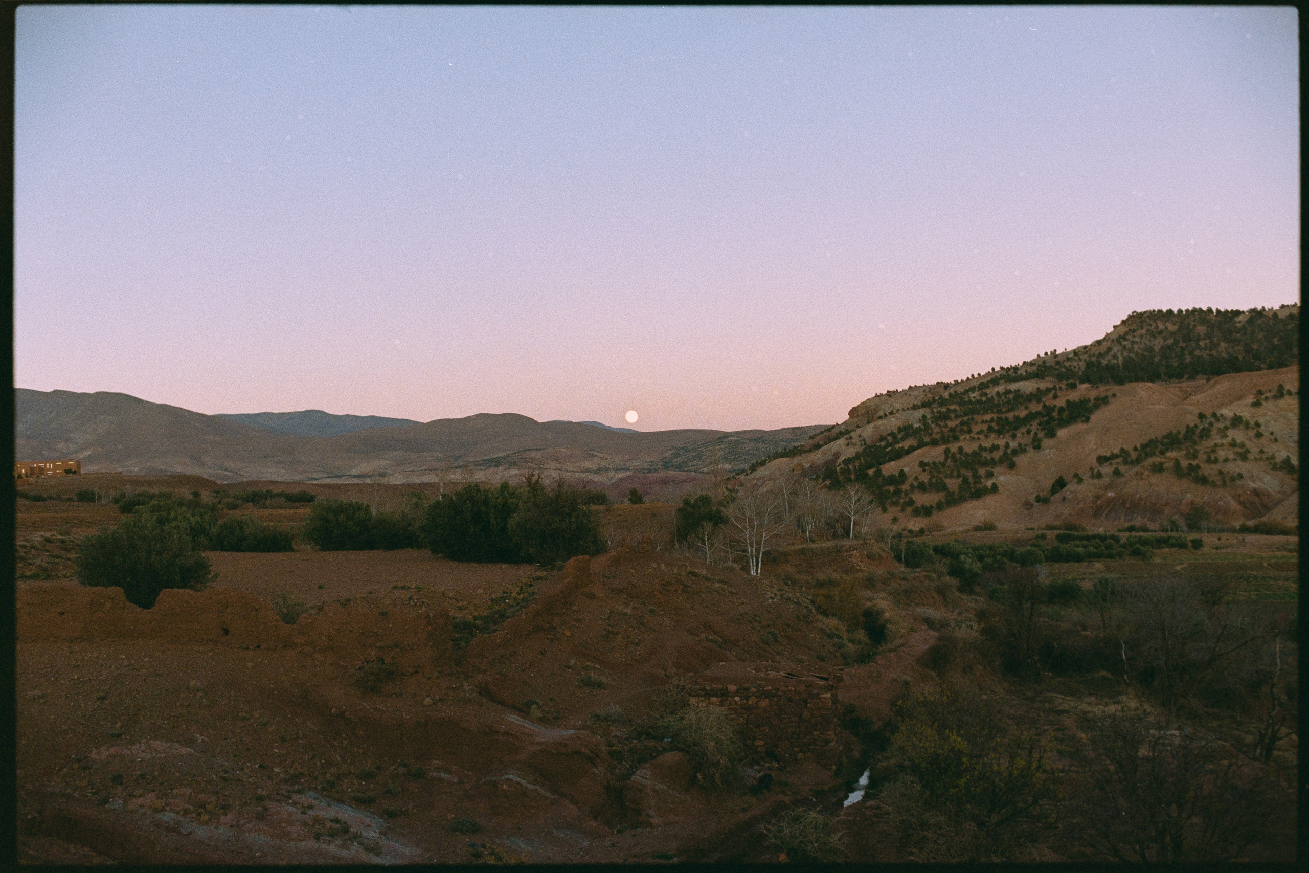 Марокко (плёнка Алёны). Игорь Гичка. Портрет с любовью