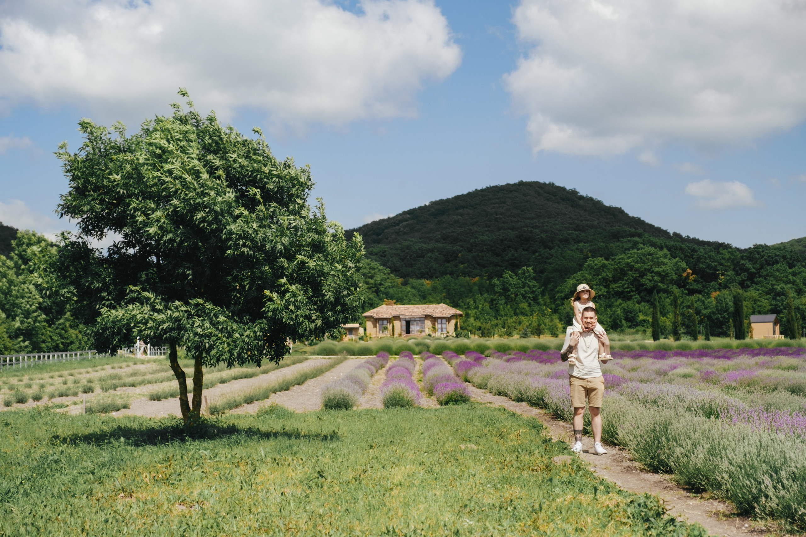 Лавандовые поля-Maison de Plantes. Свадебный Видеограф Фотограф в Сочи