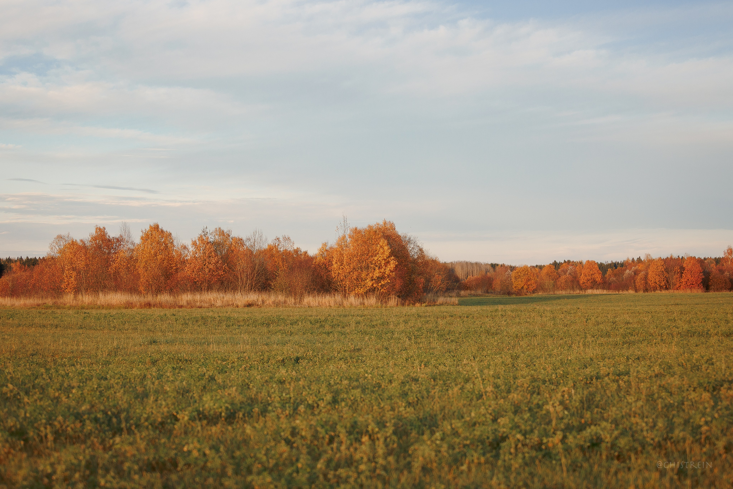Октябрьский закат в полях. Алина и Лео. Фотограф-анималист Наталия Чистюхина в г. Сосновый Бор и ЛО