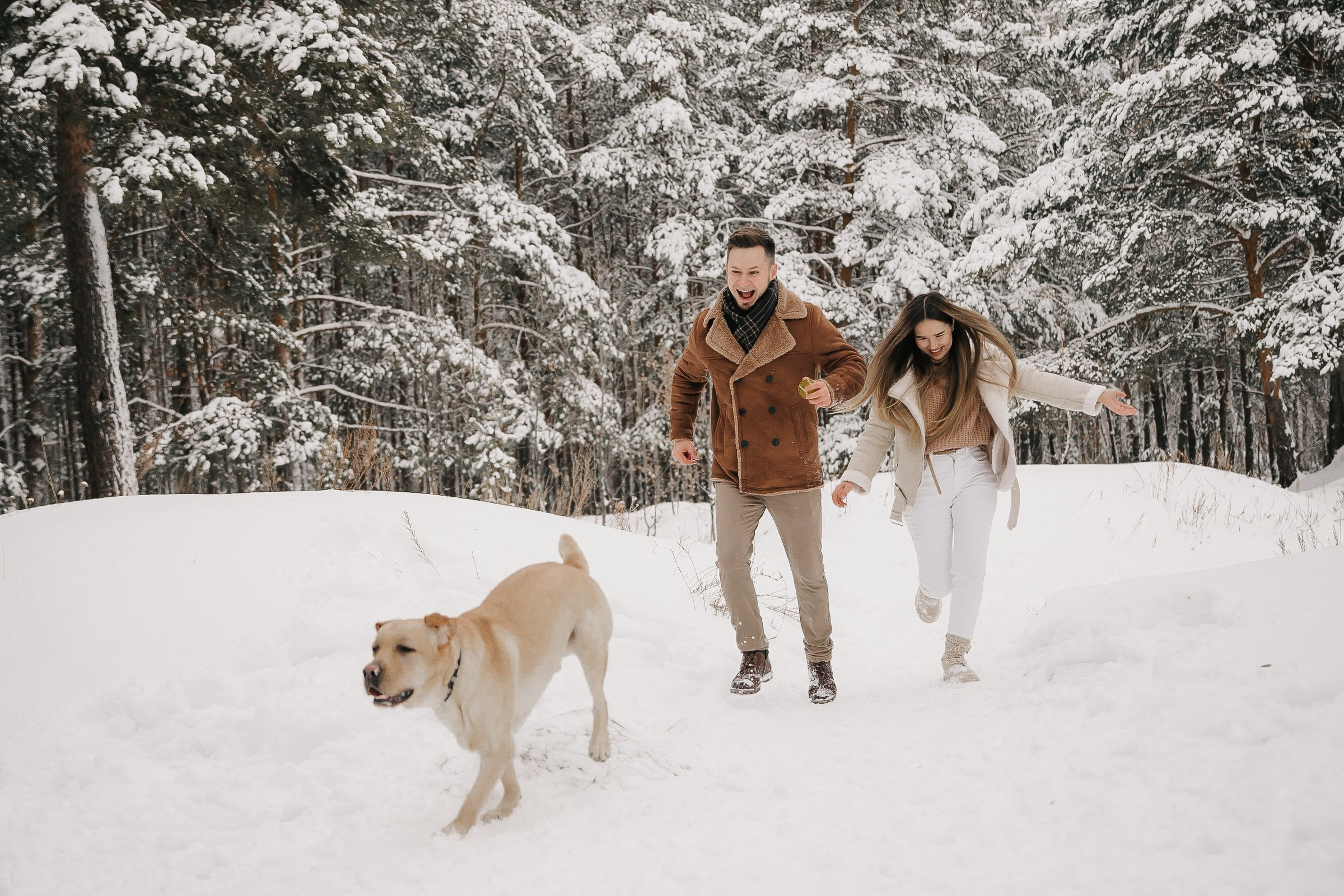Эля, Артур, Арчи и Шкира. Семейный и свадебный фотограф в Челябинске Юлия Софьина