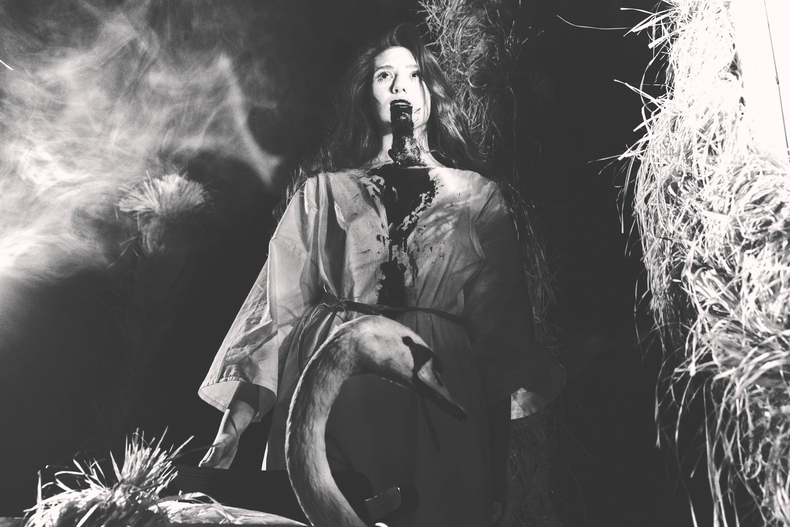 Гуси Лебеди. Фотограф Настя Лев