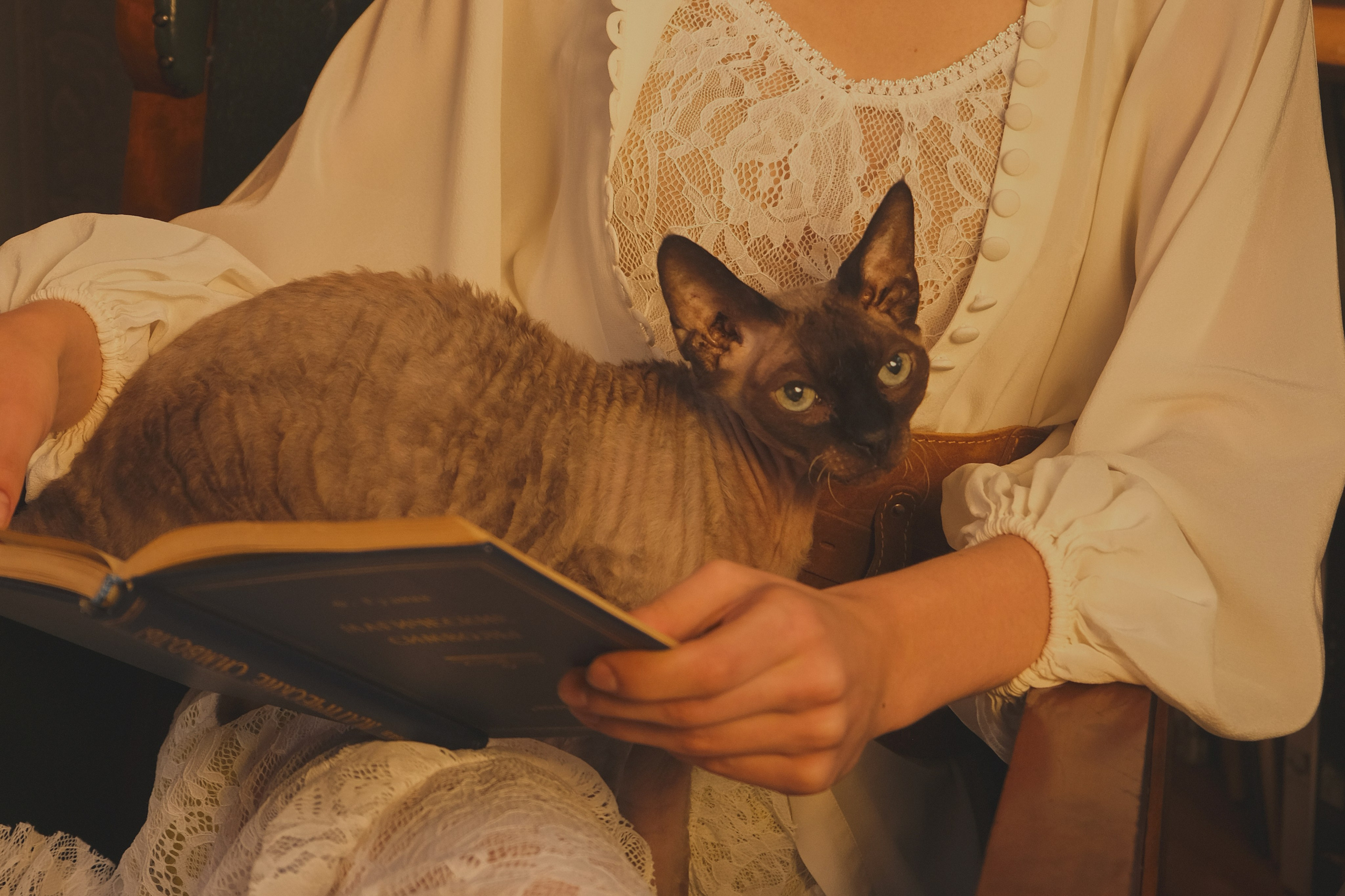 What We do in The Shadows. Фотограф Настя Лев