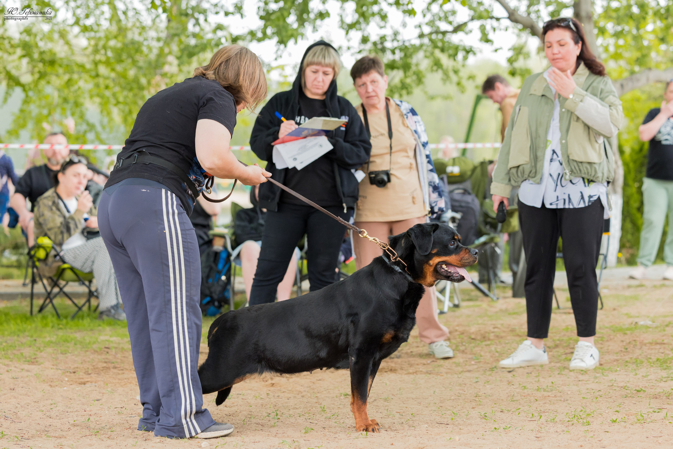 Саратов моно ротвейлеров 26-27.04.2025. Фотограф-анималист Юлия Германика