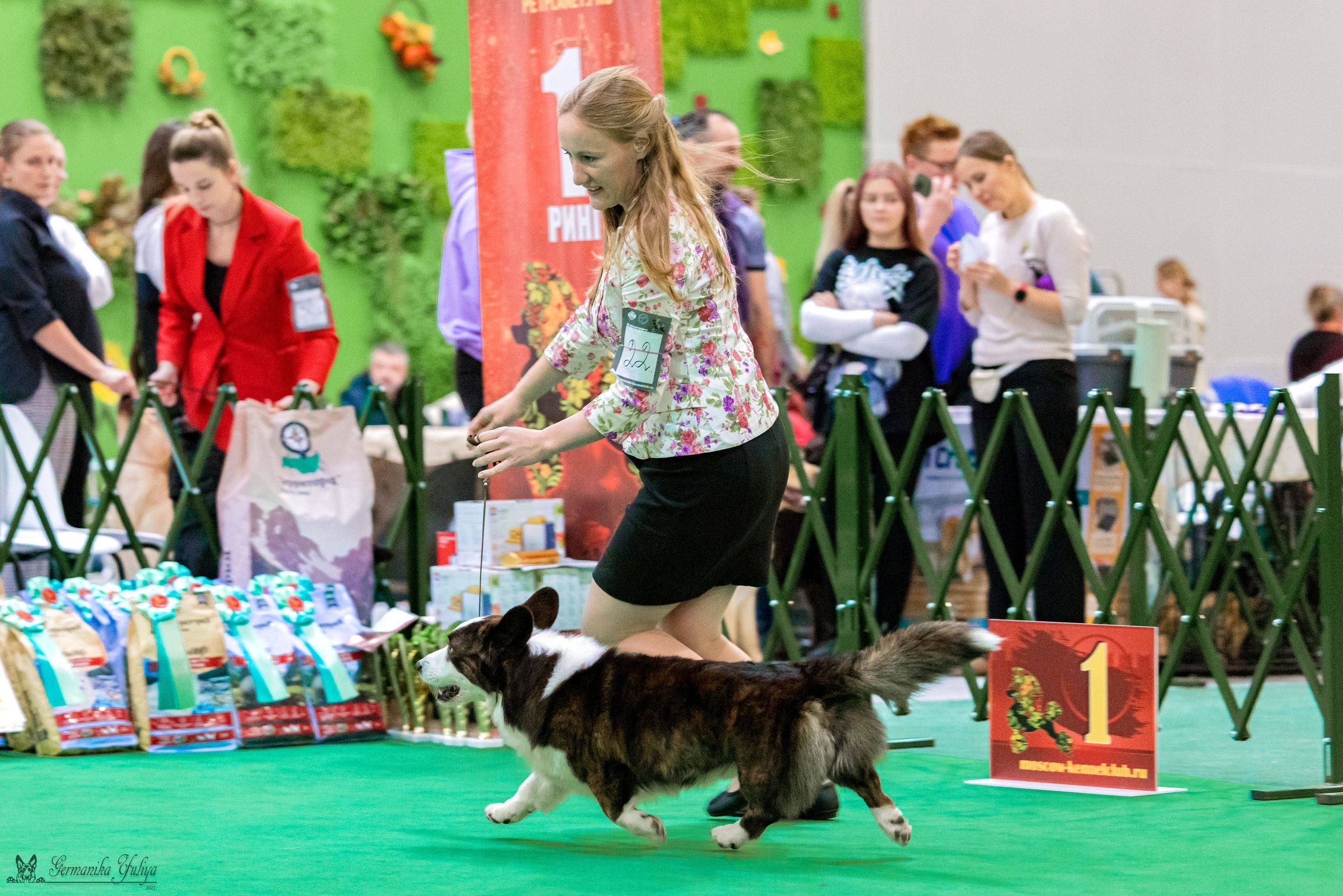 Сфера 29.10,Крокус 4.11,Сфера 12.11.2023. Фотограф-анималист Юлия Германика