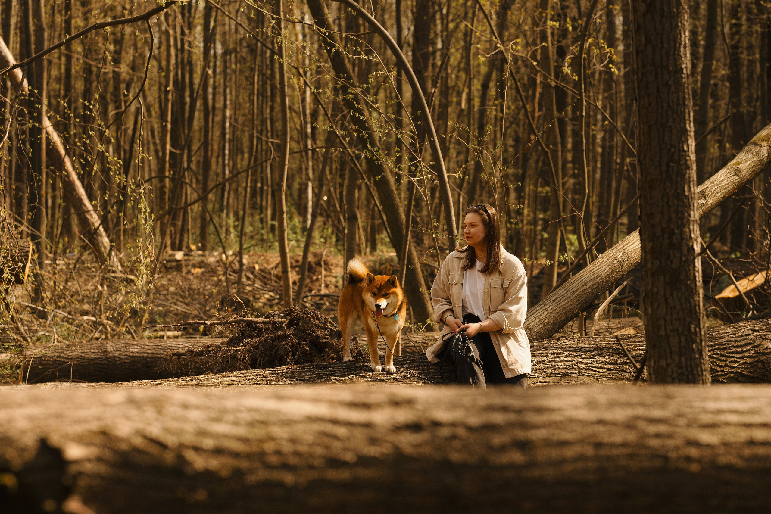 Юнки. Фотограф- анималист Александра Матвеева