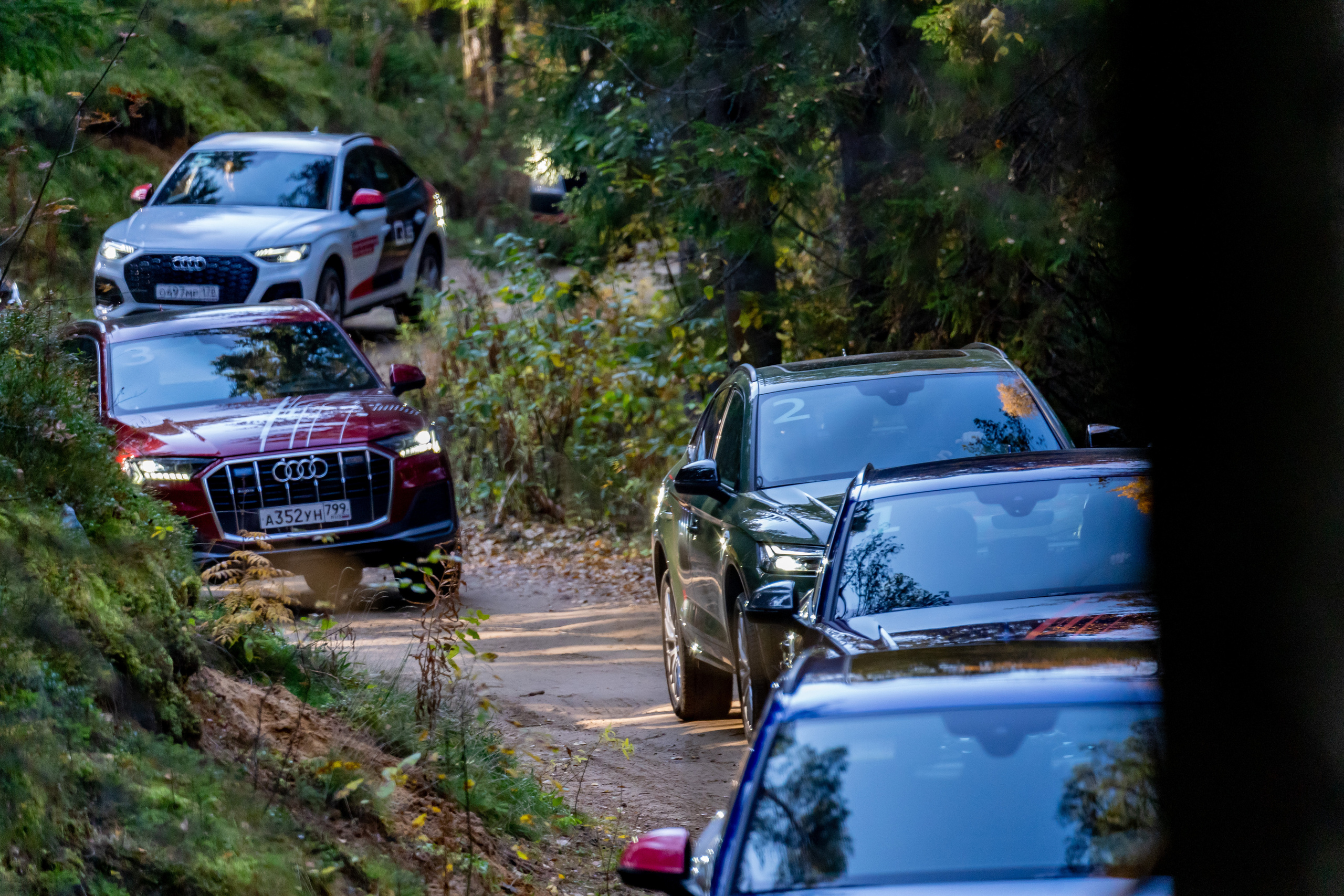 Спортивное. Репортажный фотограф Сергей Сергеевич