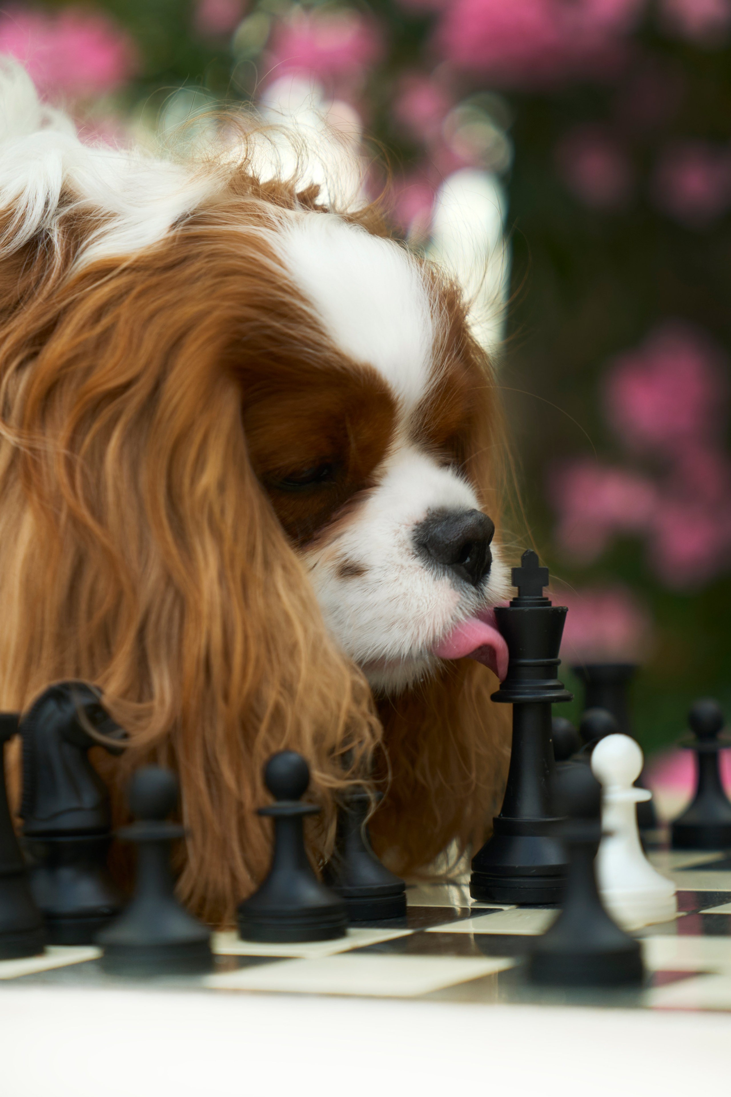 Мария и Симба