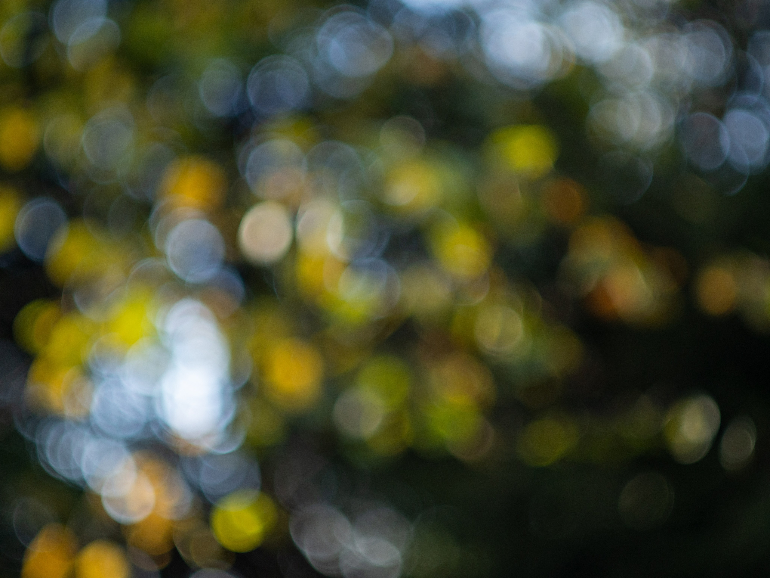 20230923-25 Родники. Дмитрий Ремизов. Фотография, как хобби