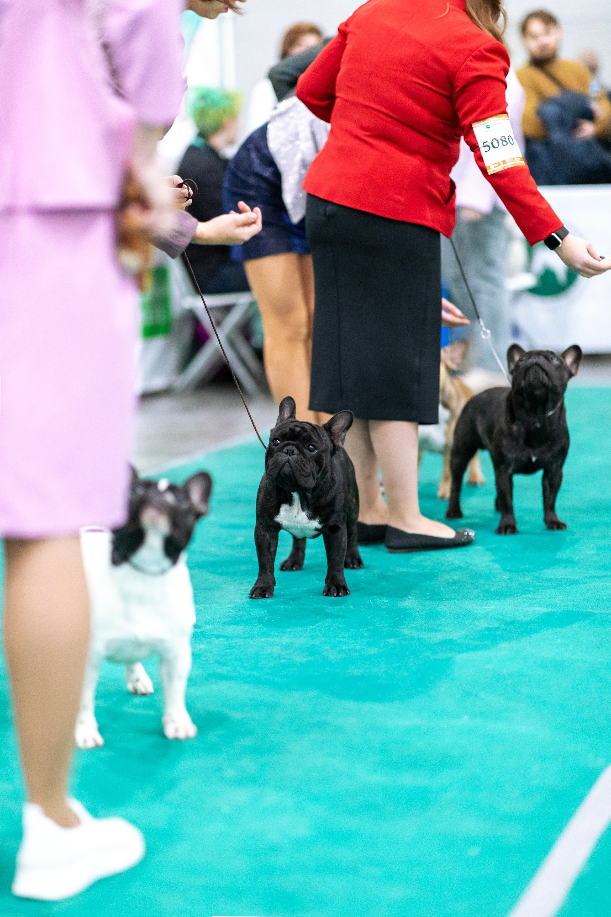 Евразия. Фотограф — анималист Татьяна Ли