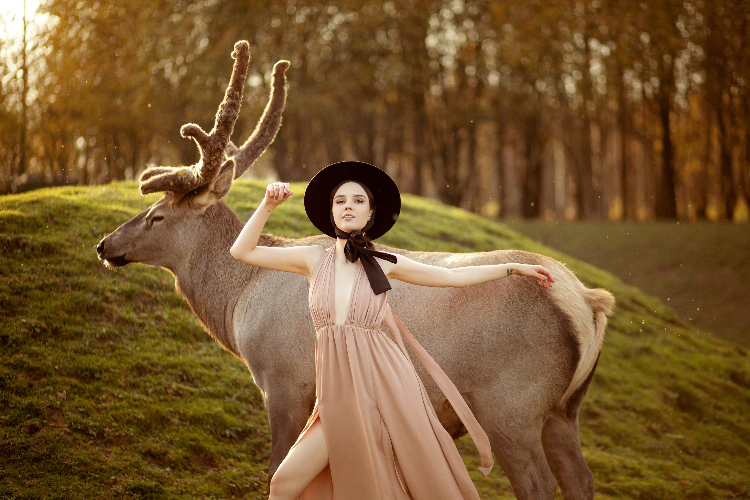 Девушка стоит с оленем, на заднем фоне солнечный лес.