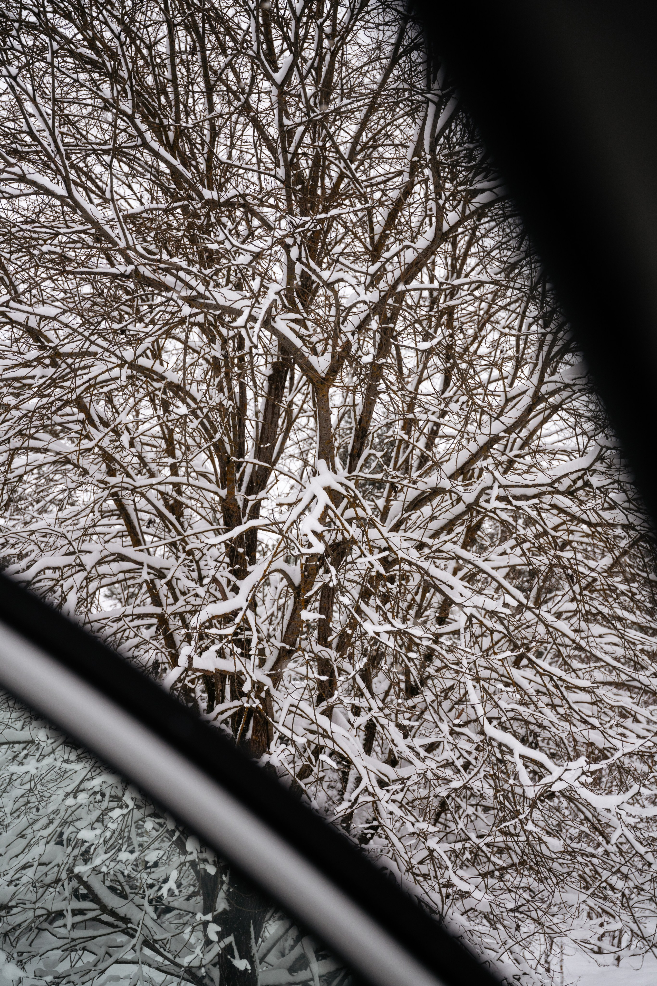 Поездка к р. Песочня и деревне Раевское. Vlad Trykov