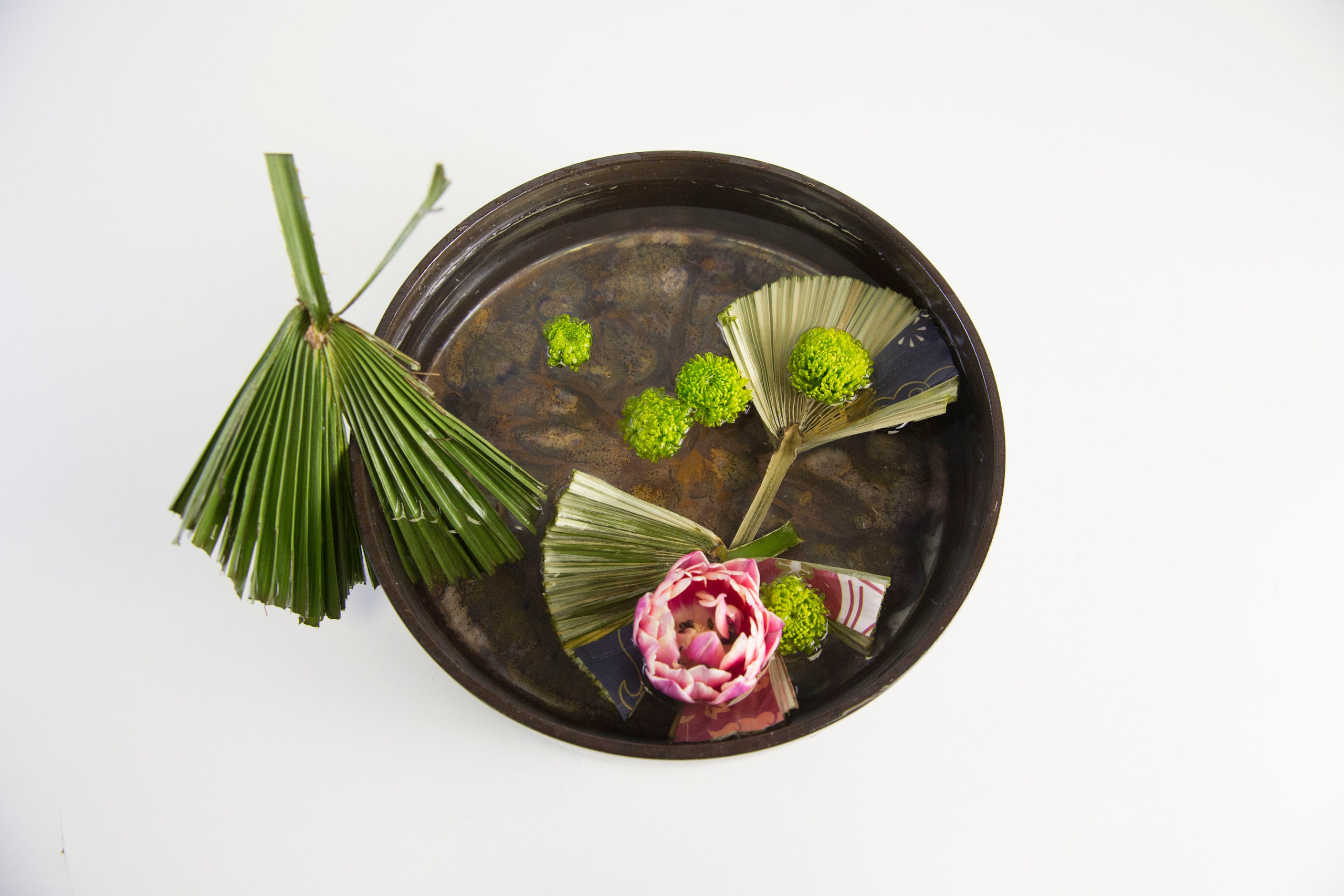 Икэбана Барне. Фотограф Анна Барне