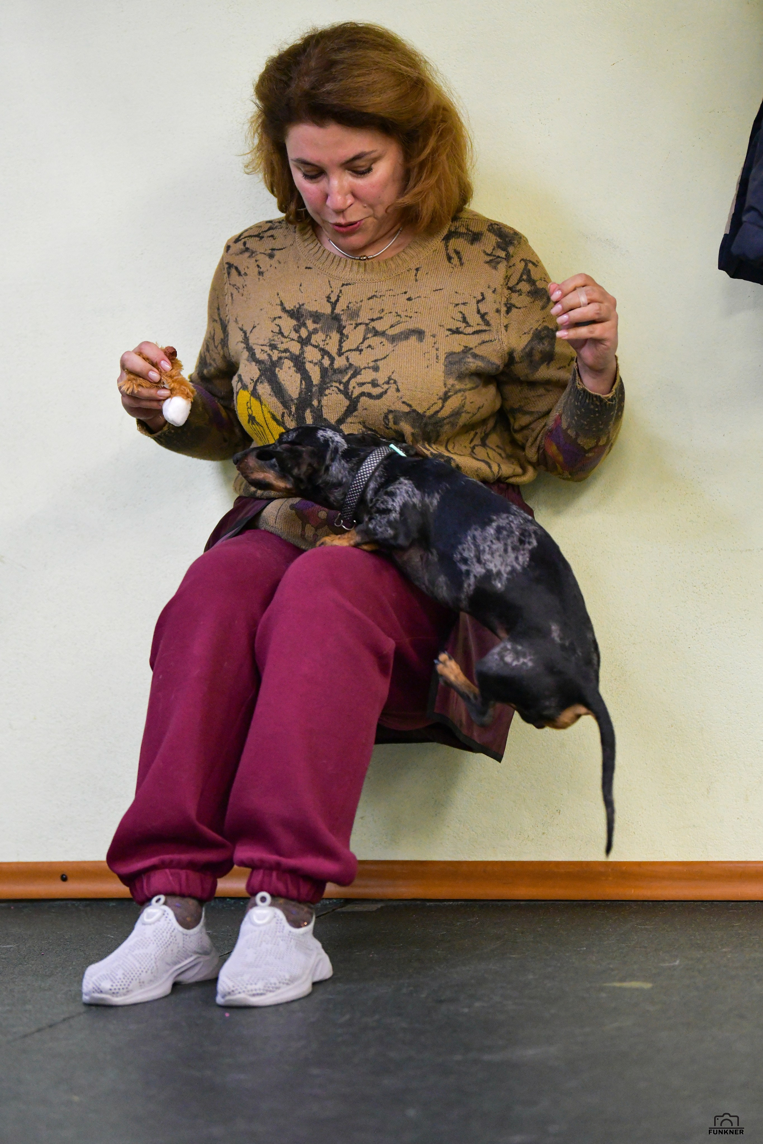 Кинологический клуб «Бодрый хвост». Свой взгляд через объектив