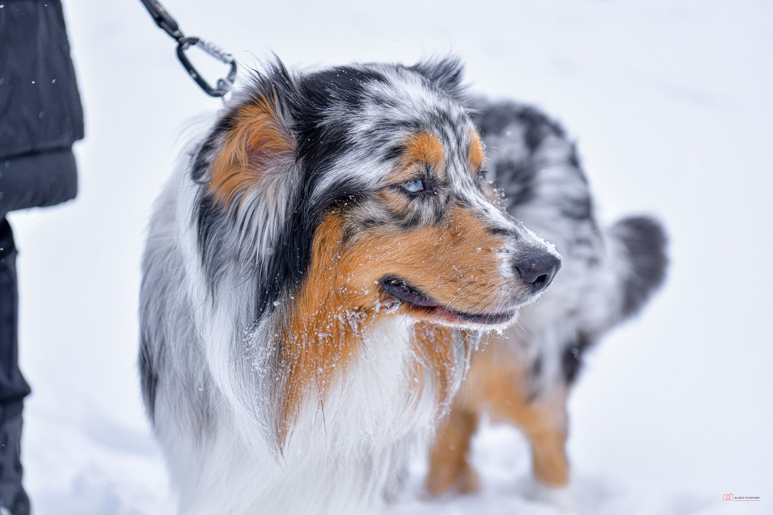 Зима. Свой взгляд через объектив