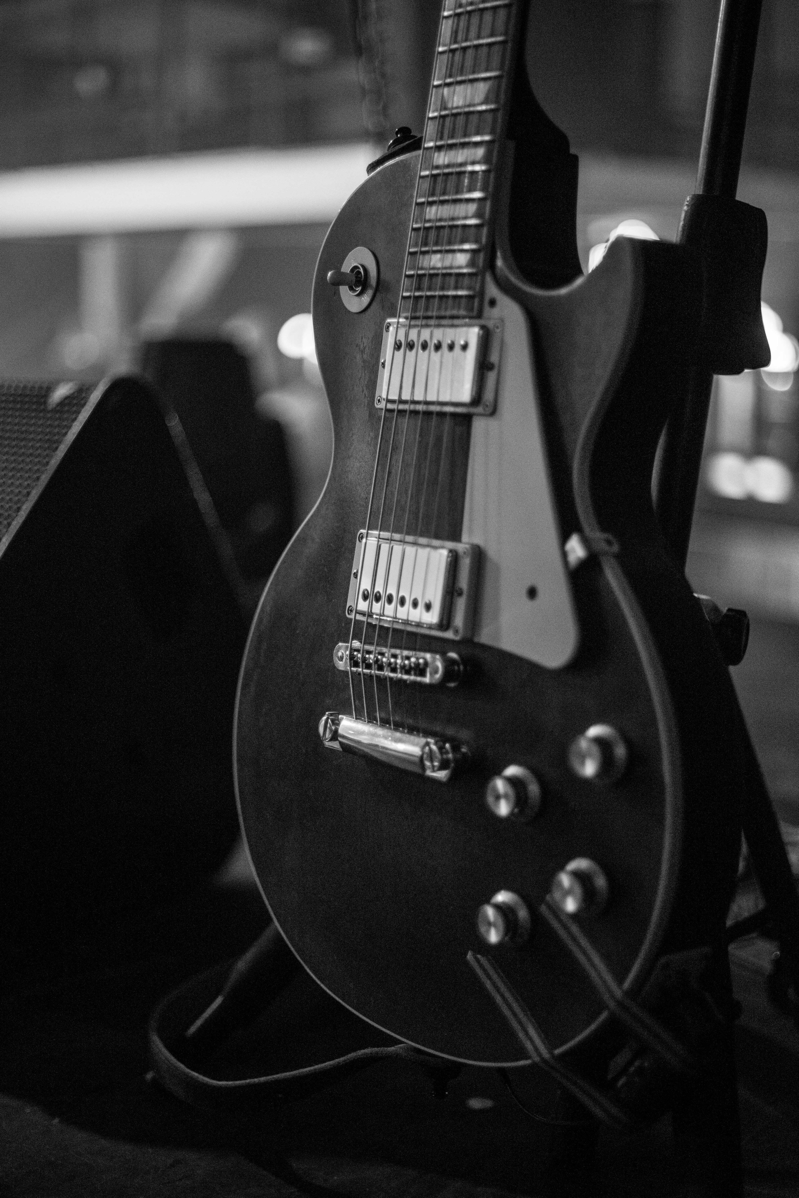 Distamper. Твой фотограф — Полосатый кот