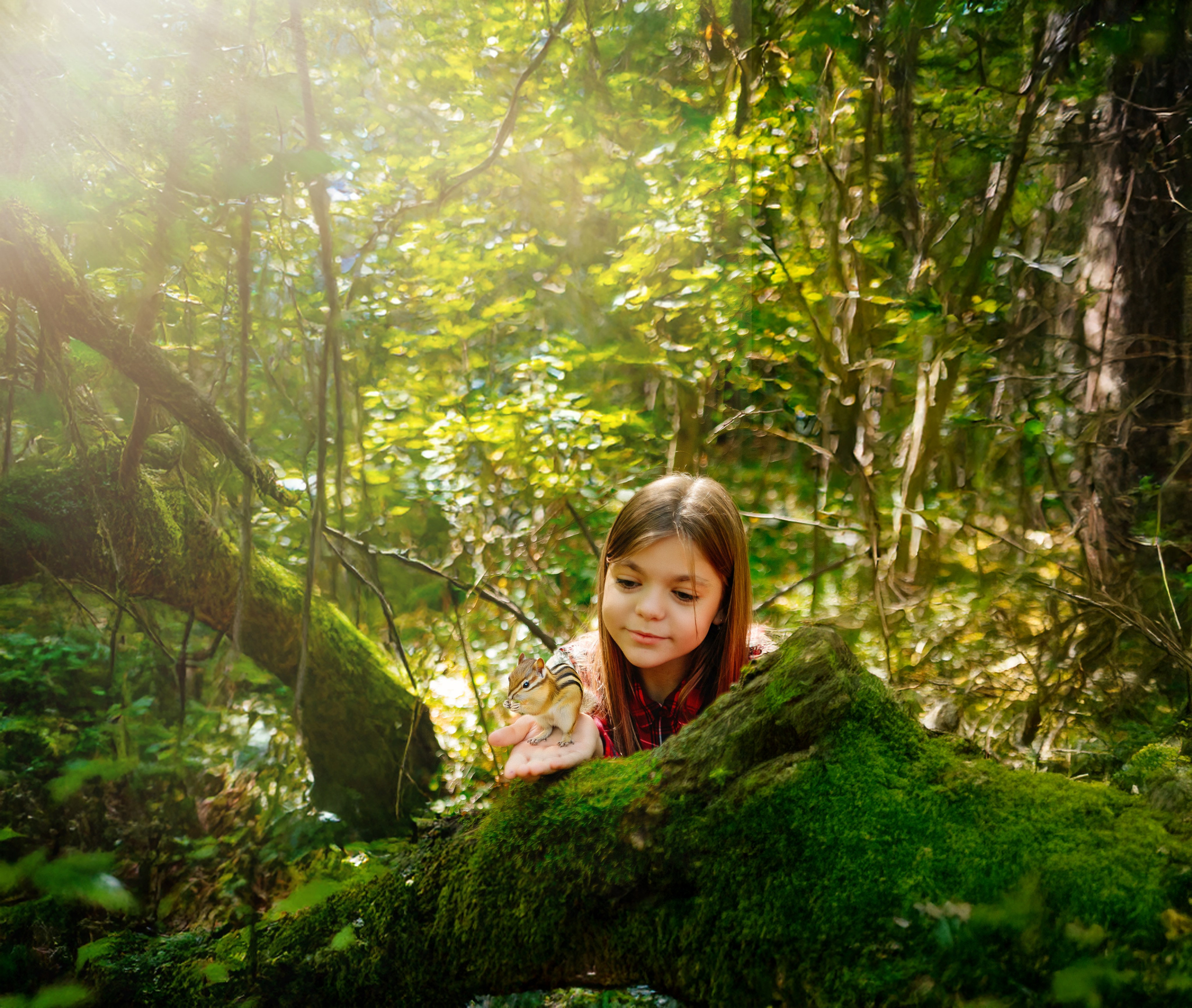Семейная фотостудия. Семейный, свадебный и детский фотограф в Новосибирске Ольга Хидченко