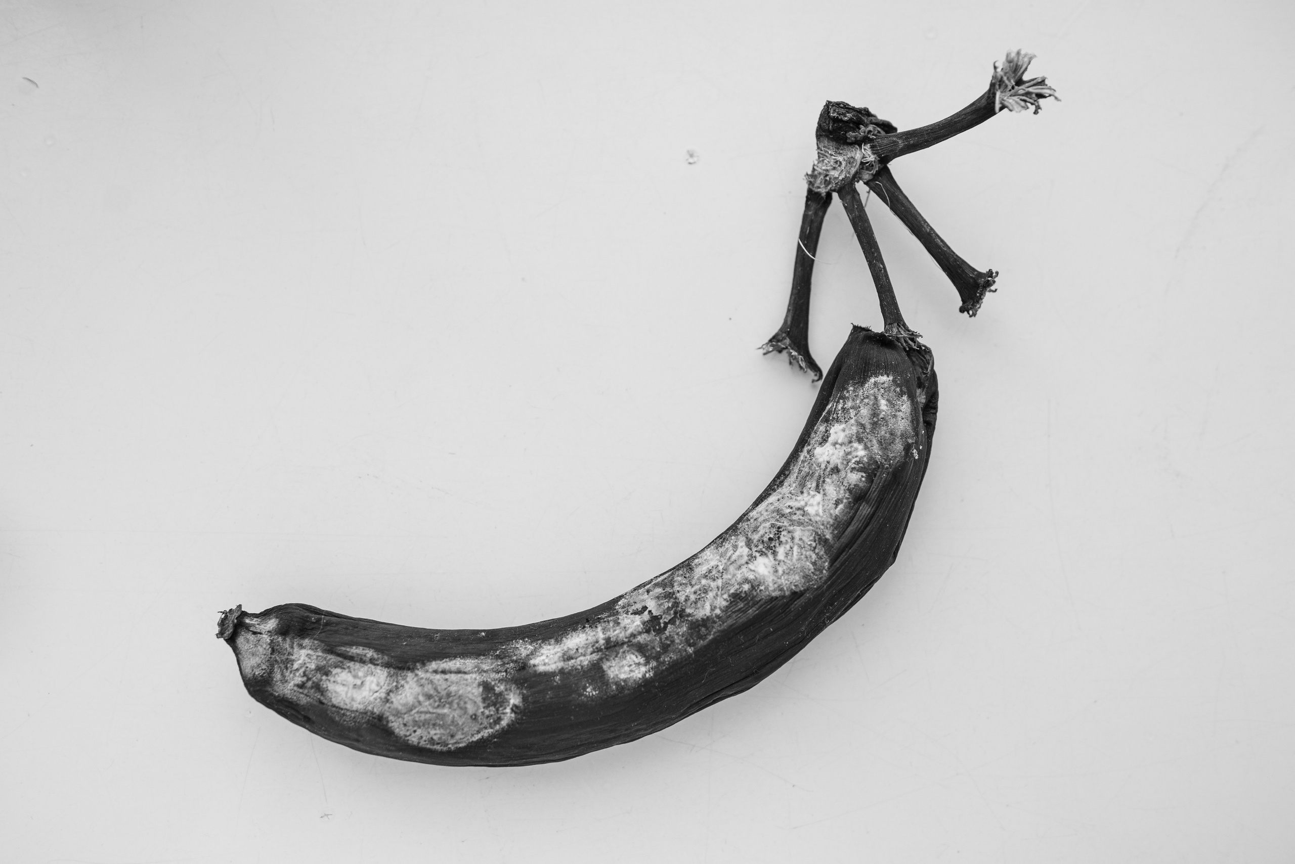 Разное неважное. Фотограф в Москве Алейникова Евгения