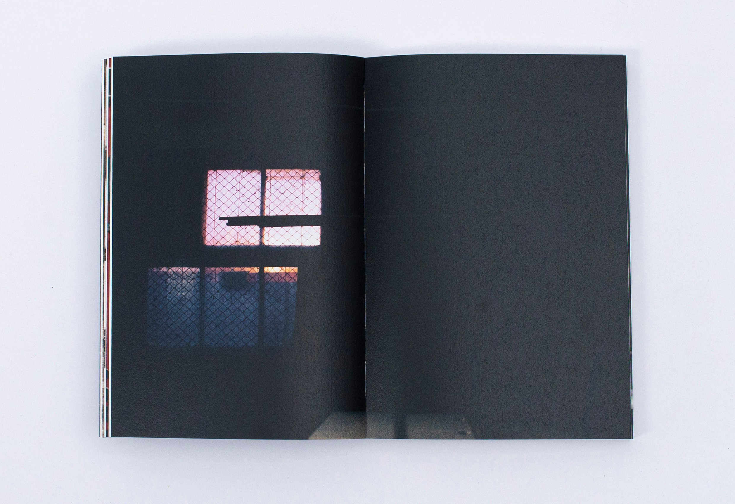 Книга. Фотограф в Москве Алейникова Евгения