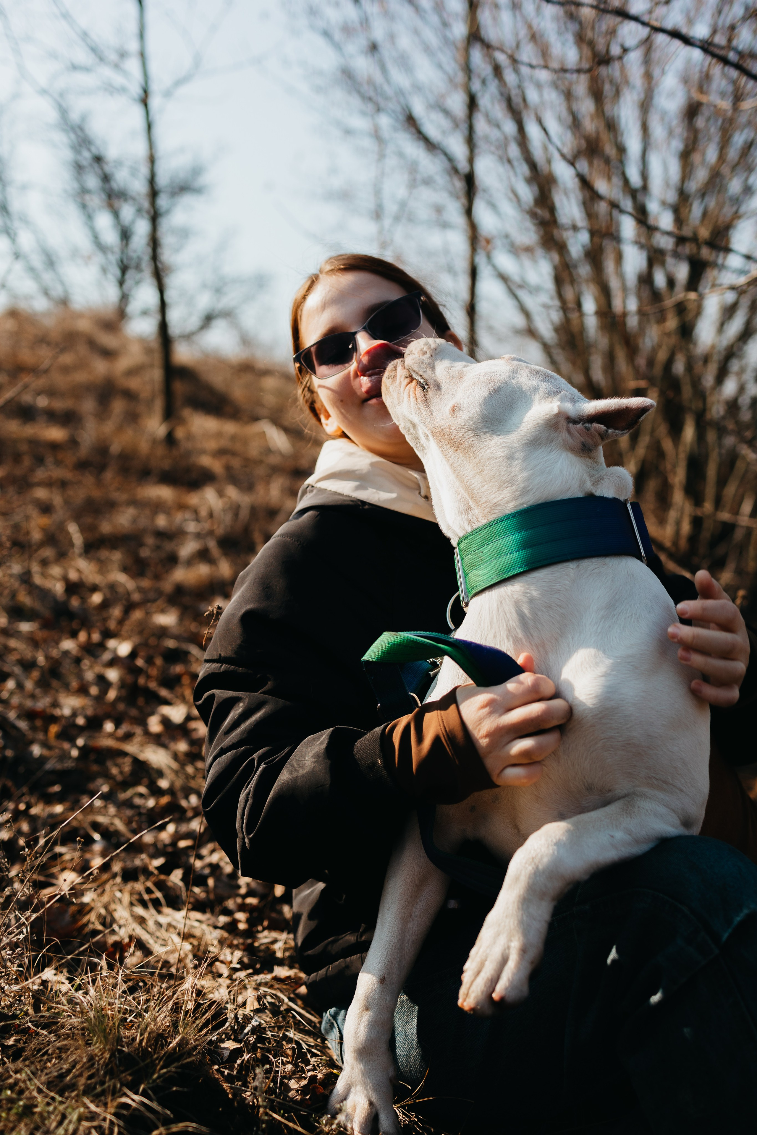 Лера, Ума и Винни. Фотограф — анималист Светлана Кысса|фотограф собак в Краснодаре и Нижнем Новгороде