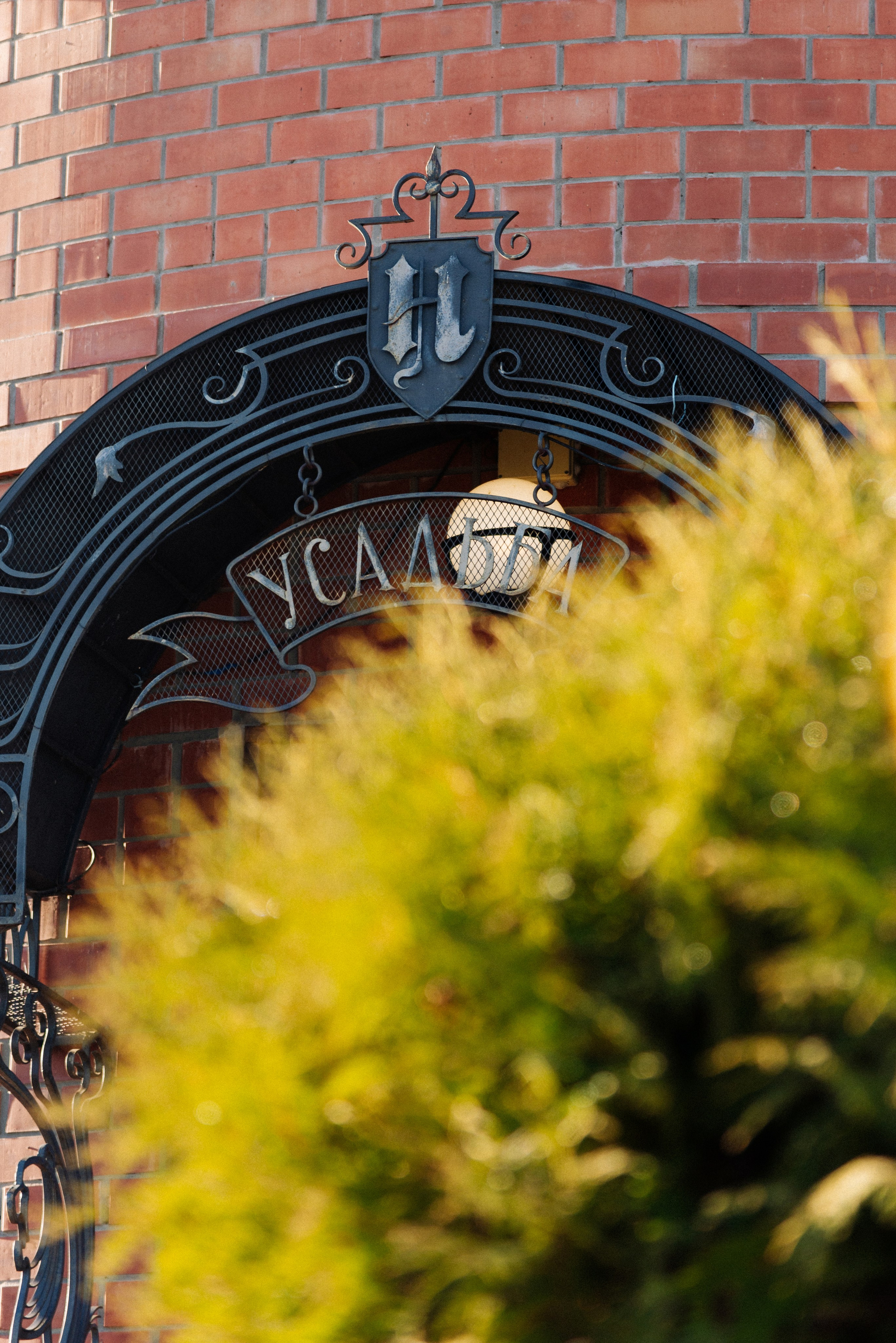 Фамилия. Elendorart