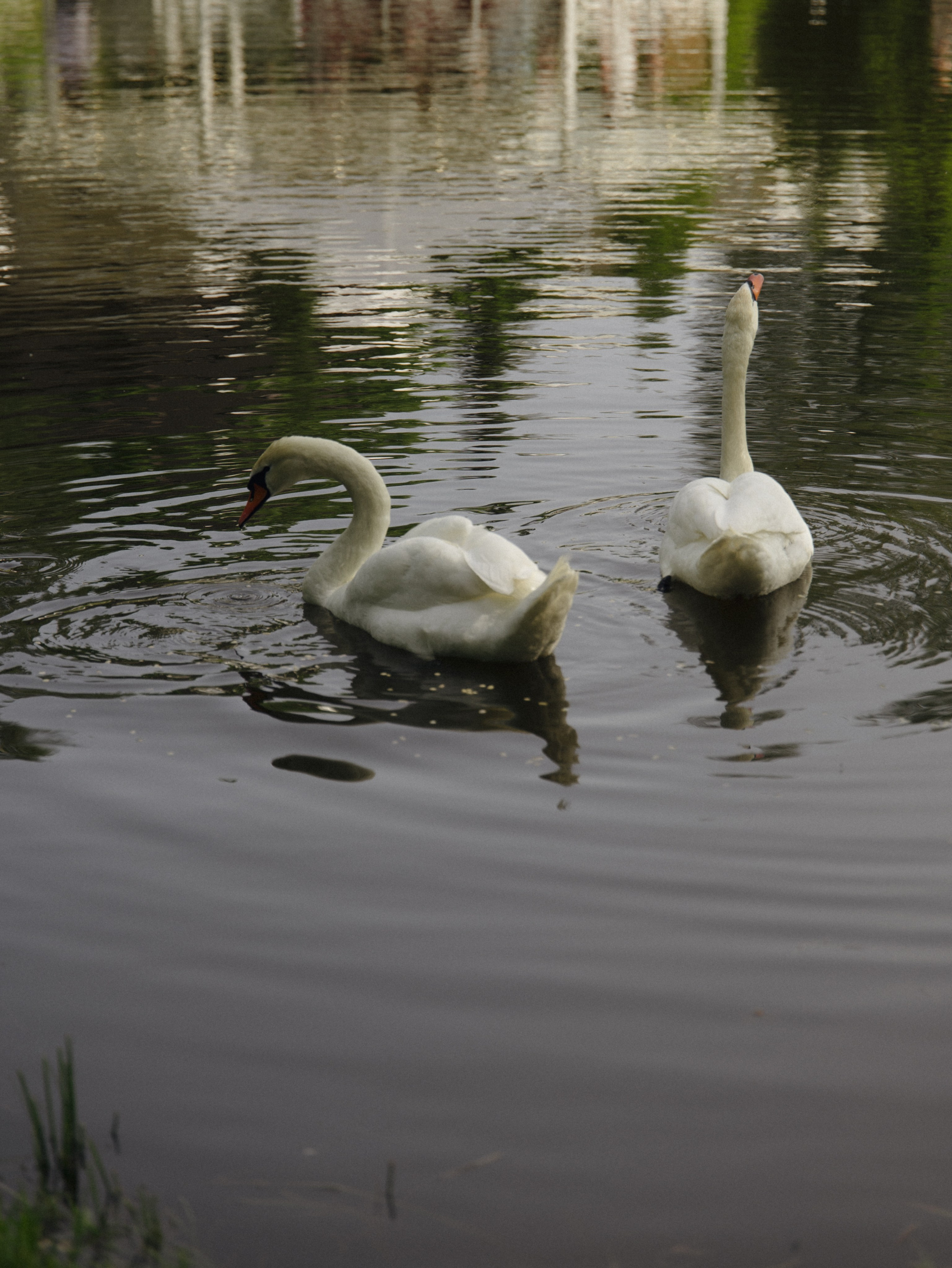 S & O | 10.06.2025. Фотограф Санкт-Петербург Евгения Корякина (eva_maruu)