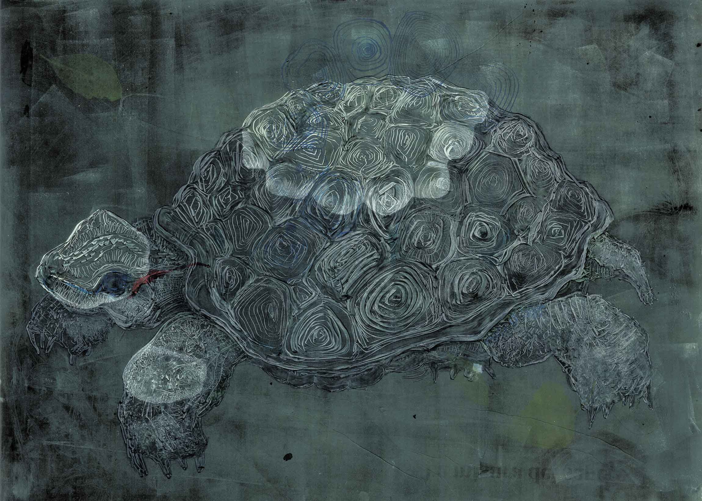 ТАРТАРУГА. монотипия графика Перепеченова Анна