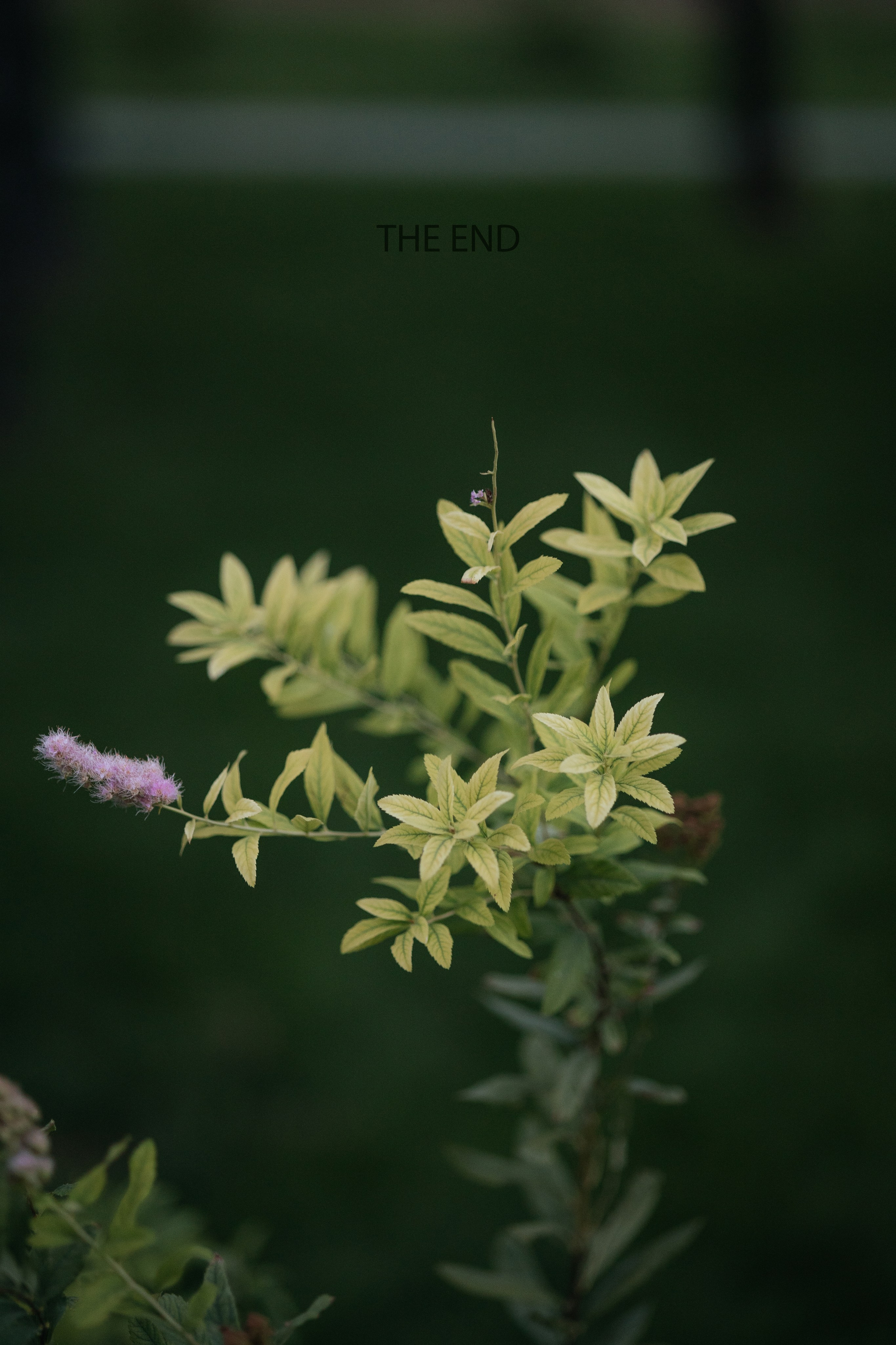 Прогулка ул. Чуйкова. Фотограф Крохин Олег