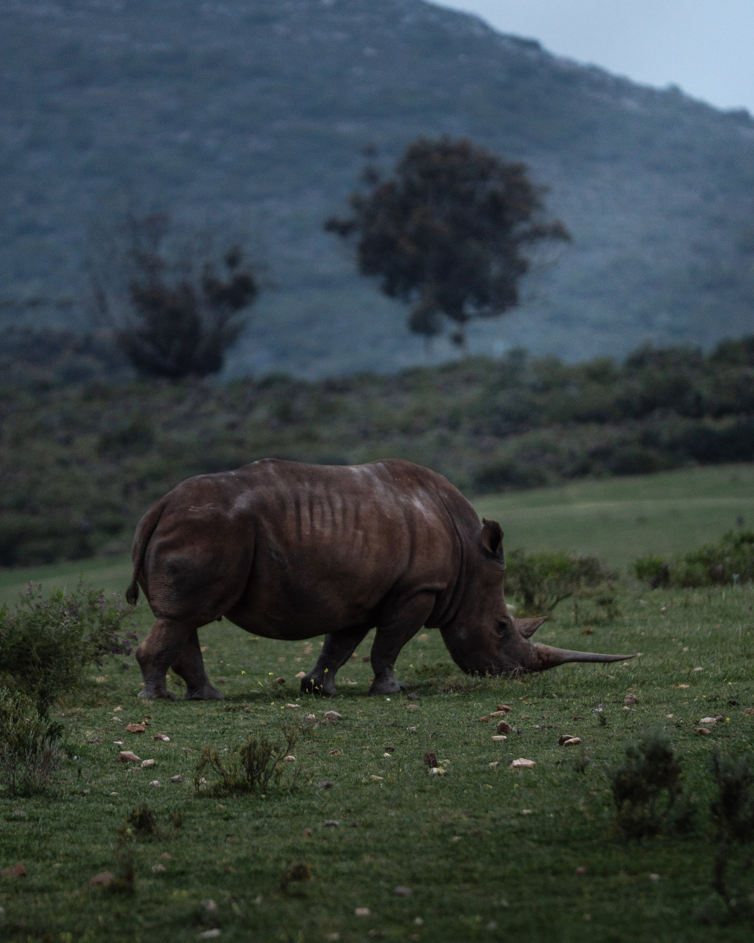 Africa/UAR. @oljiofilm: Олег Иванов — фотограф