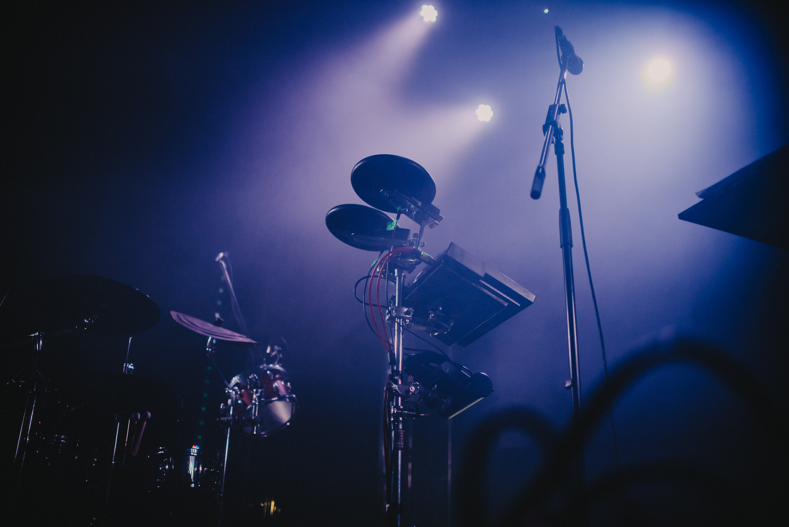 Дельфин | Gaudi. Контент фотограф Илья Урс