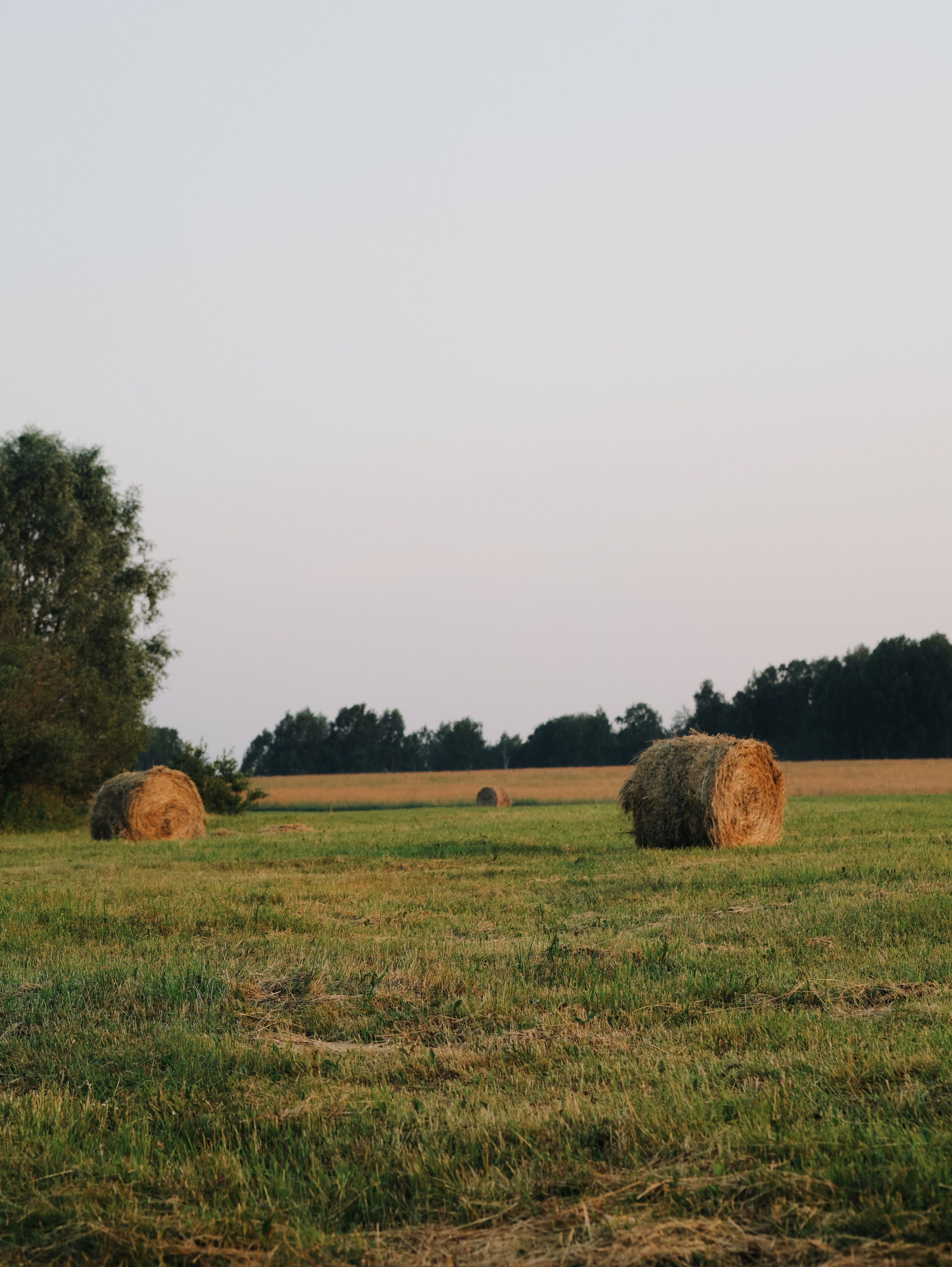 Матушка Софья. Алёна Стерхова — Предметный и портретный фотограф. Ижевск
