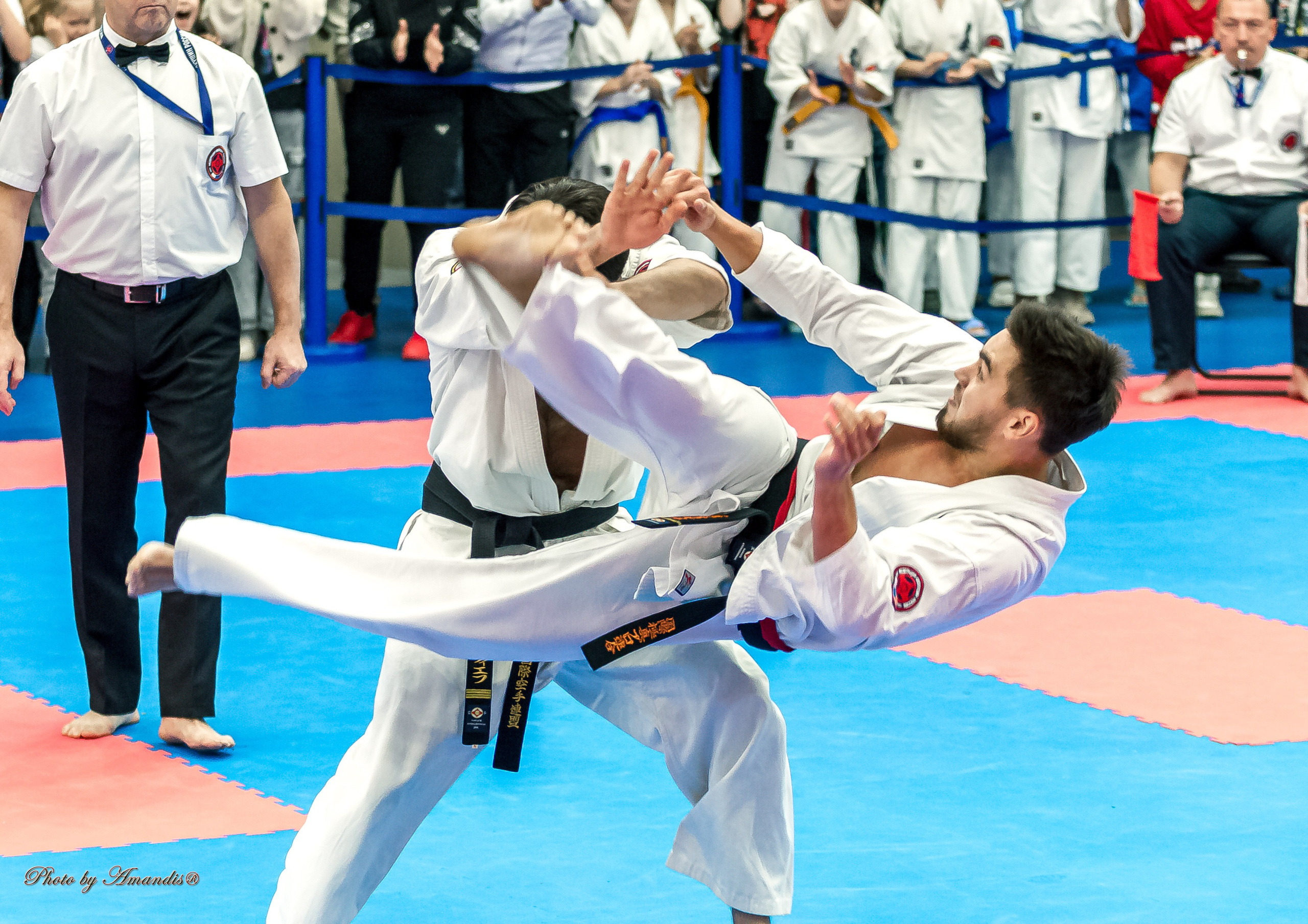 Чемпионат по Киокушинкай Центрального Федерального округа. Репортажная съемка в Москве и области. Анималистика