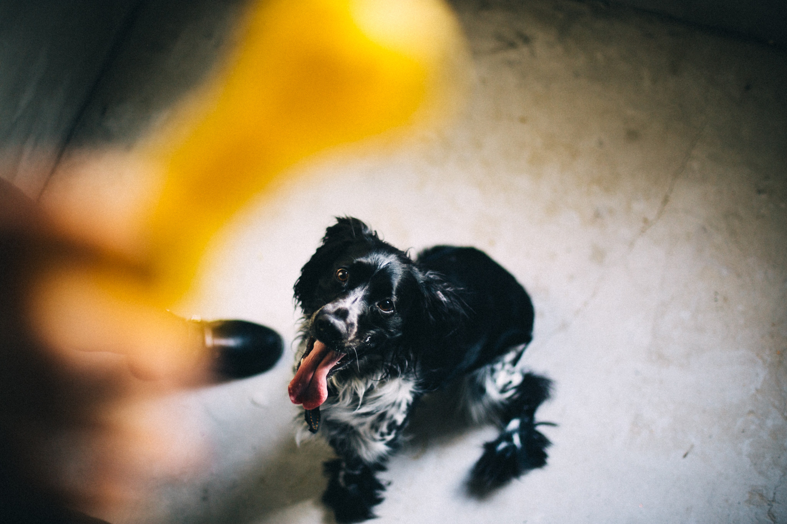 Марина и Сэм. Фотограф в Нижнем Новгороде