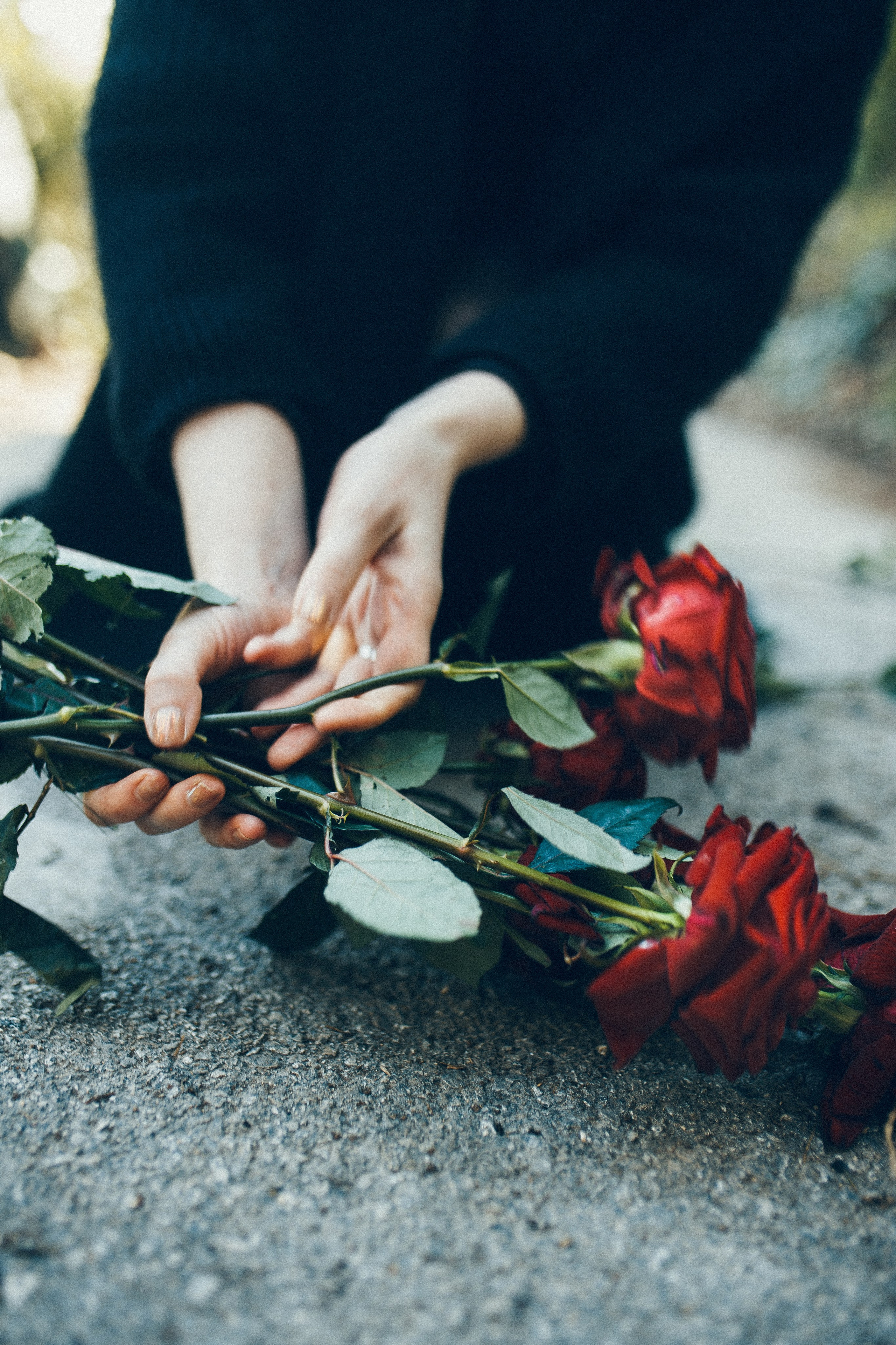 Света Нуар. Портретный фотограф В Крыму и преподаватель Екатерина Покровская