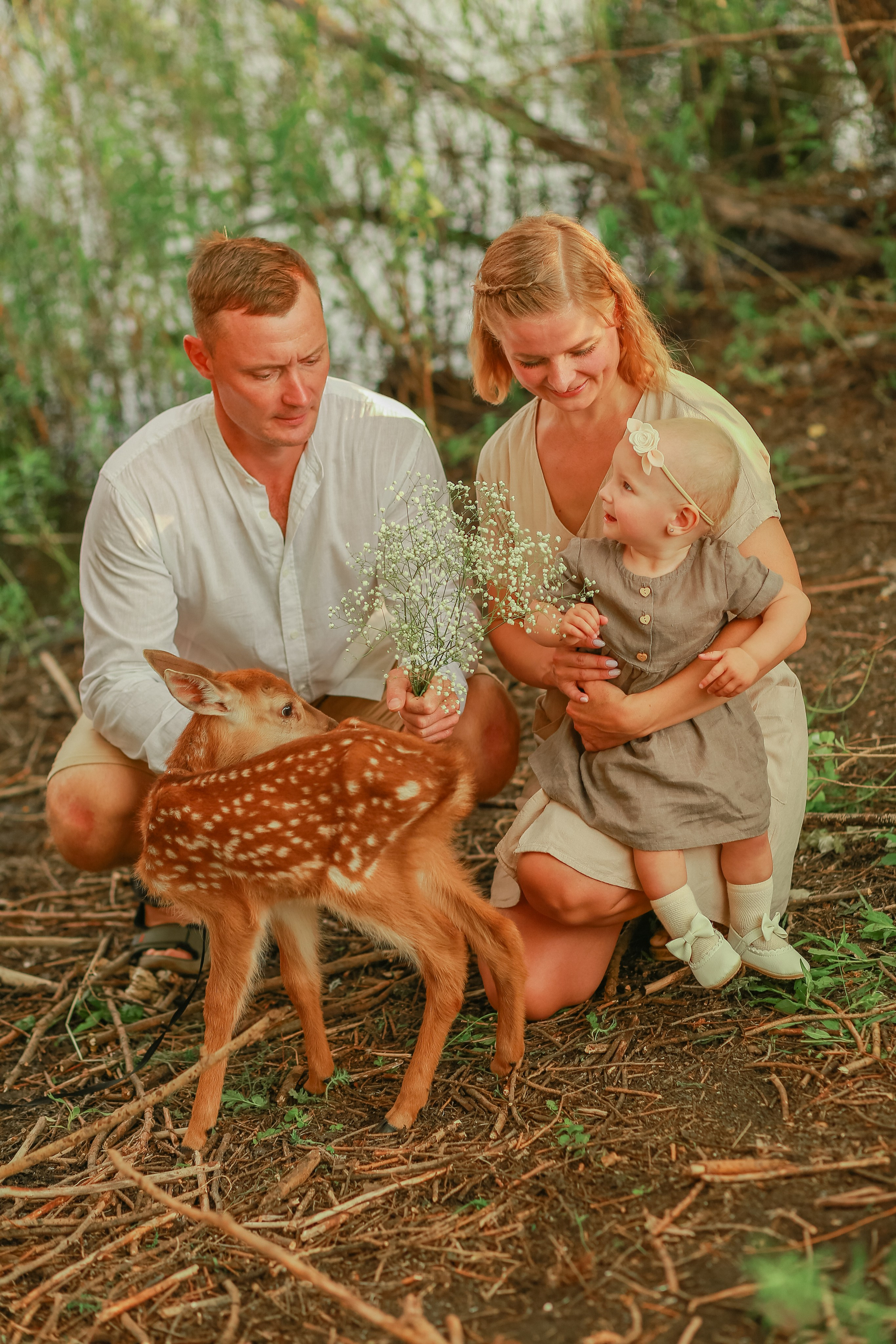 Фотосессия с Бэмби и др в поле пшеницы. Иванова Ирина Свадебный и семейный фотограф г. Уфа