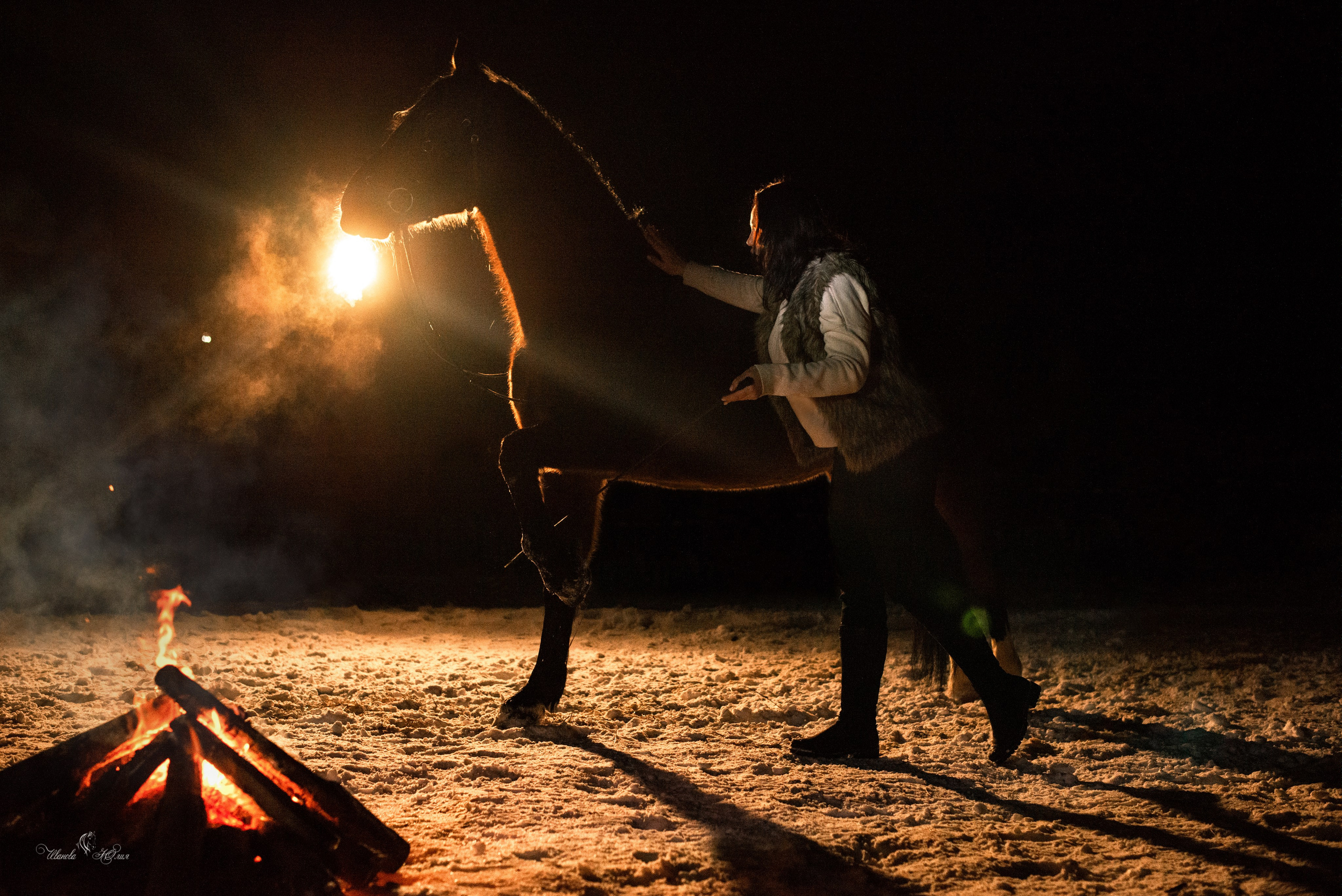 Татьяна и Холмогор. Конный фотограф в Саратове Юлия Иванова