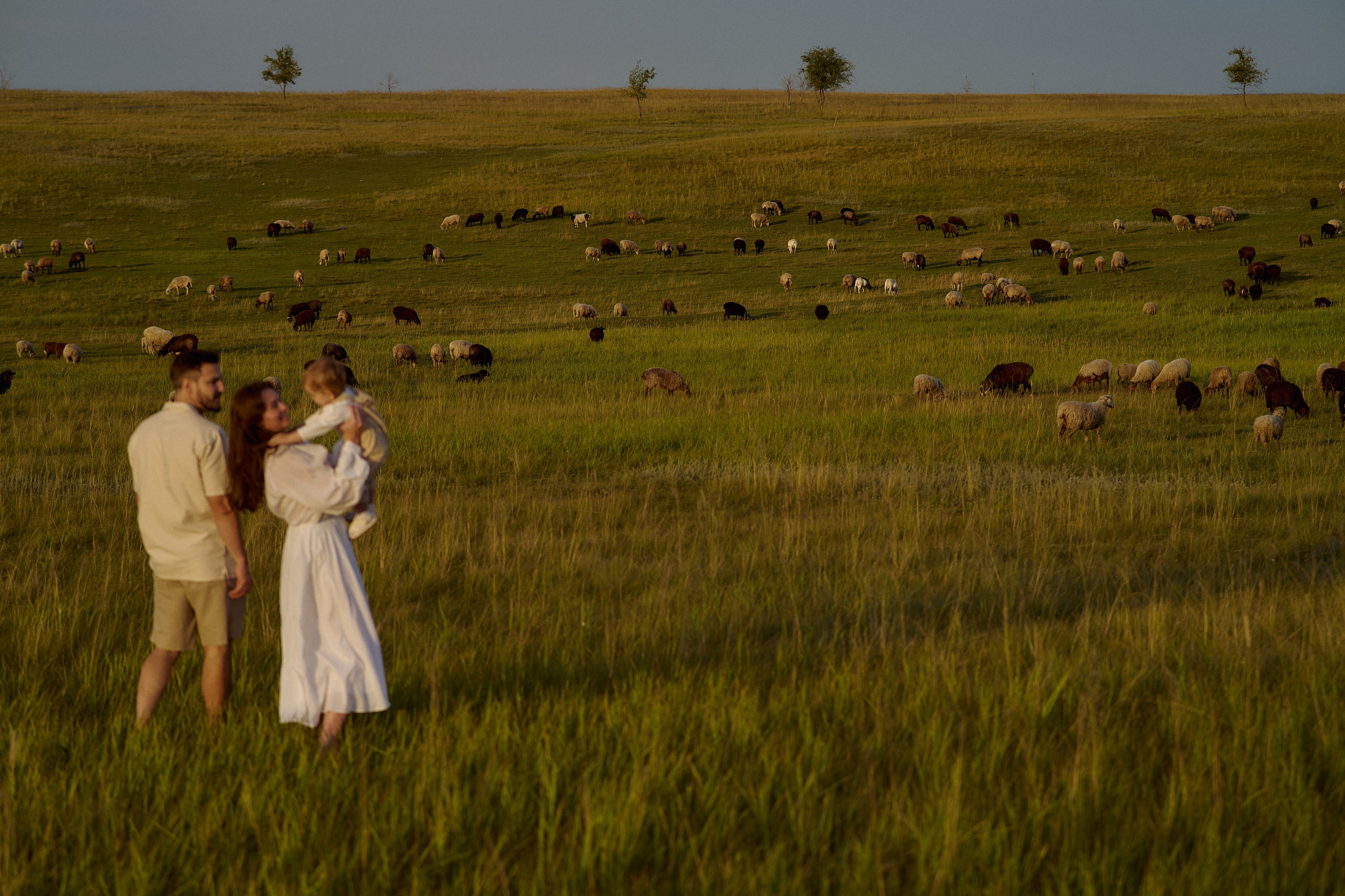 Шамиль, Аня и Марс в поле с барашками. Семейный и свадебный lifestyle-фотограф в Москве Мария Петрова