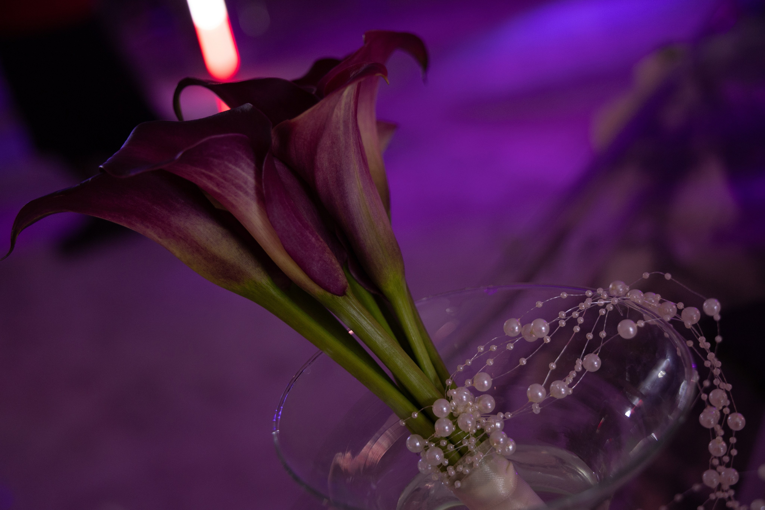 Банкет яхт-клуб