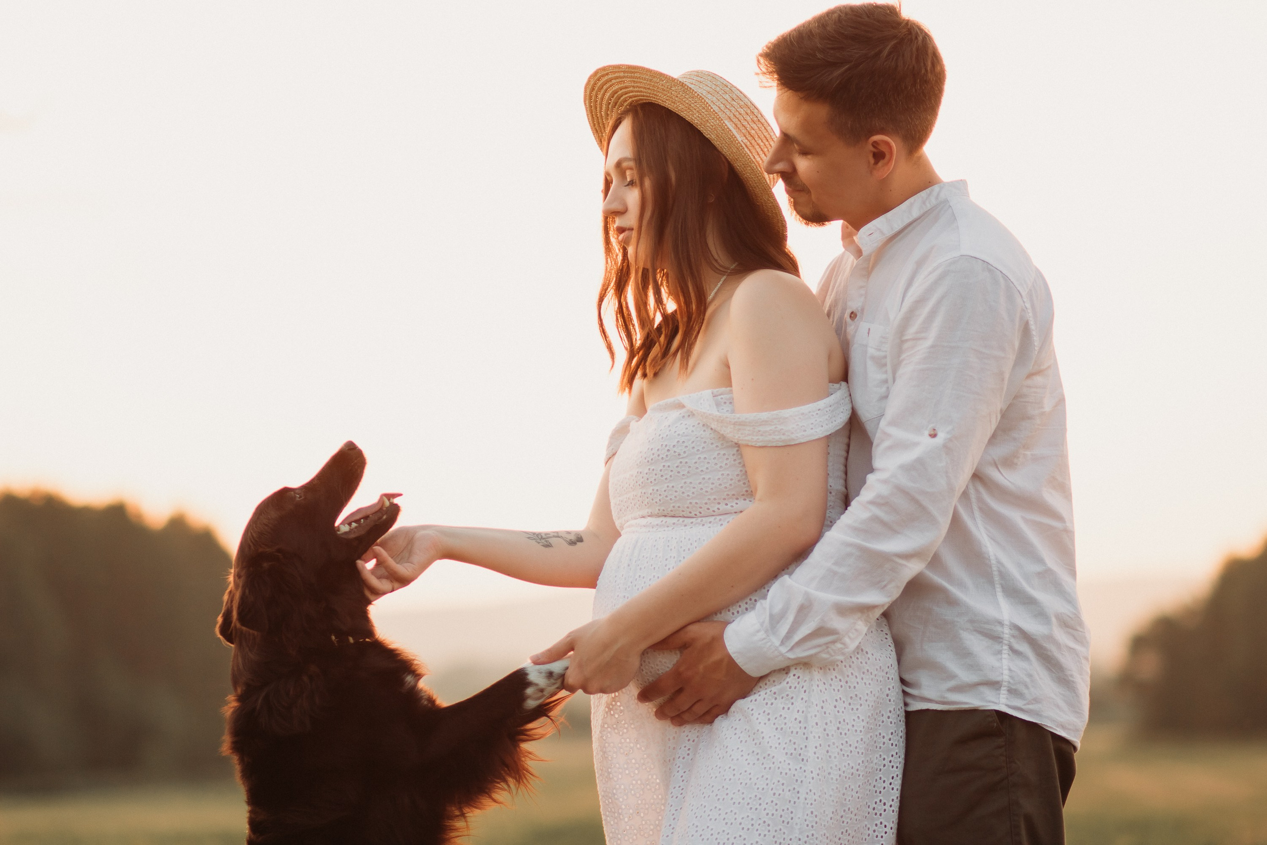 Фотосессия беременности в поле на закате. Семейный фотограф Екатеринбург Черепанова Олеся