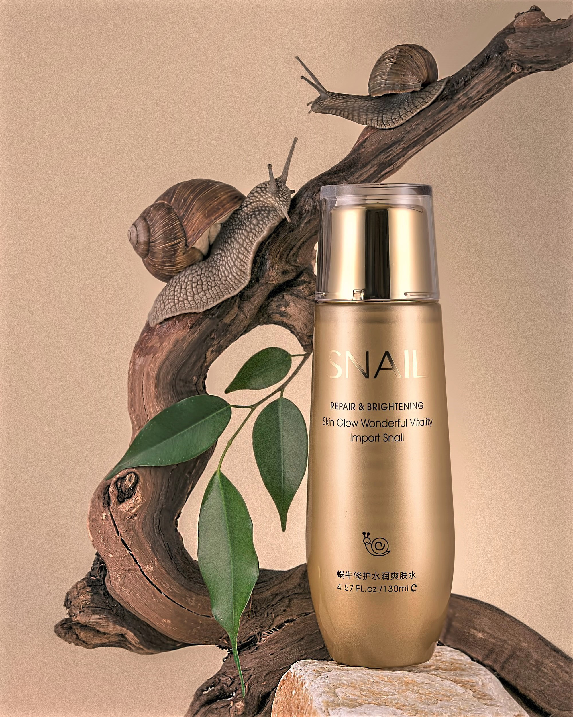 Композиции с улитками. Предметный фотограф Елена Полякова. Москва