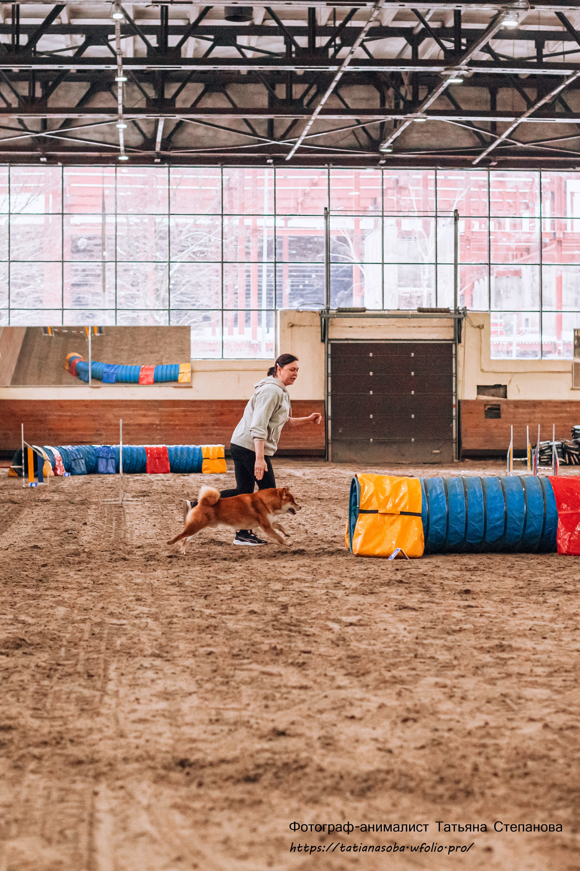 Соревнования по Аджилити 25.02.2024. Фотограф-анималист Татьяна Степанова
