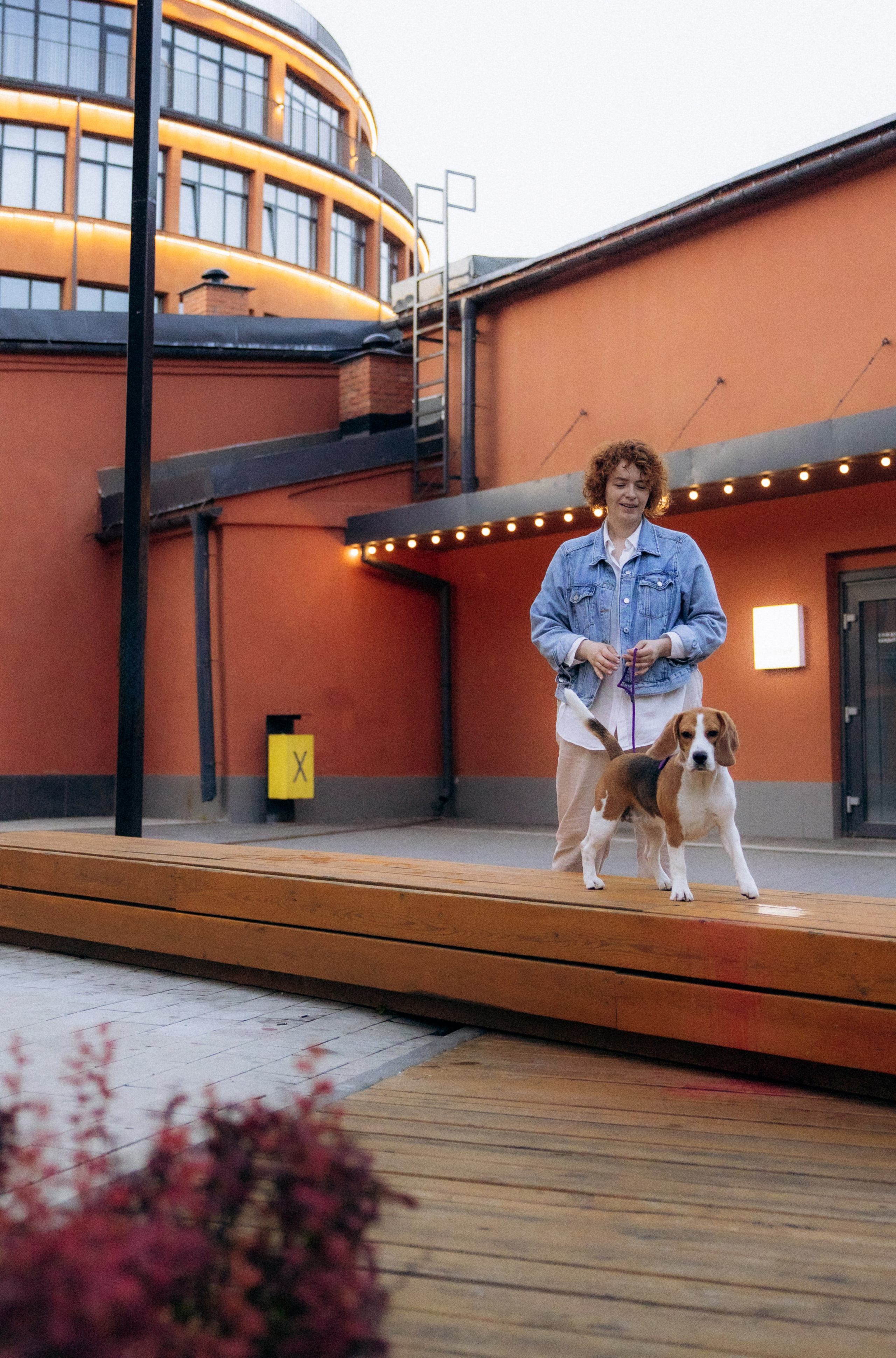 Анна и Рэна. Рассвет в Москве. Фотограф анималист в Казани Алина Сулейманова. Фотограф животных