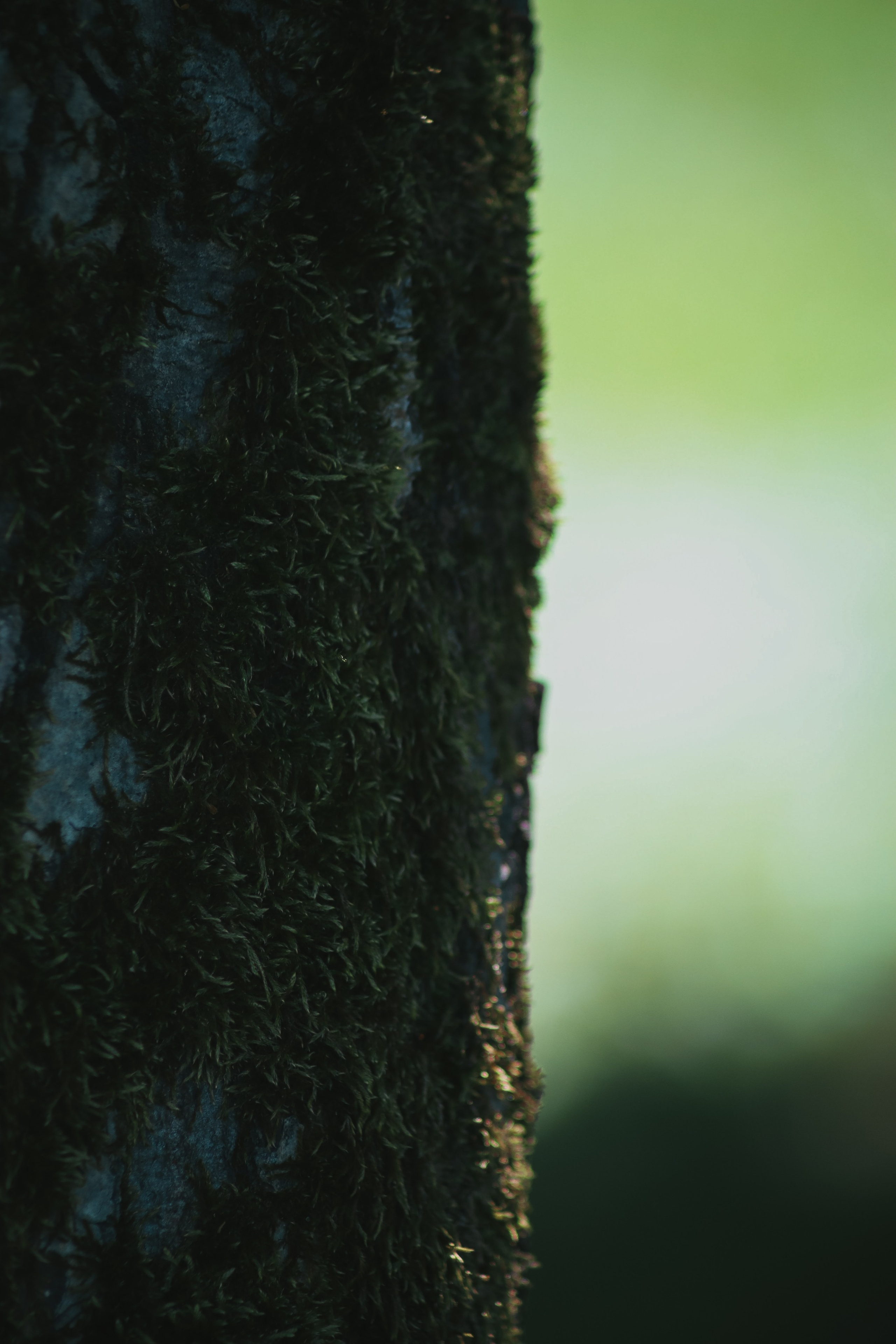 Т Е П Л Ы Й — З Е Л Е Н Ы Й. — Digital Noise —