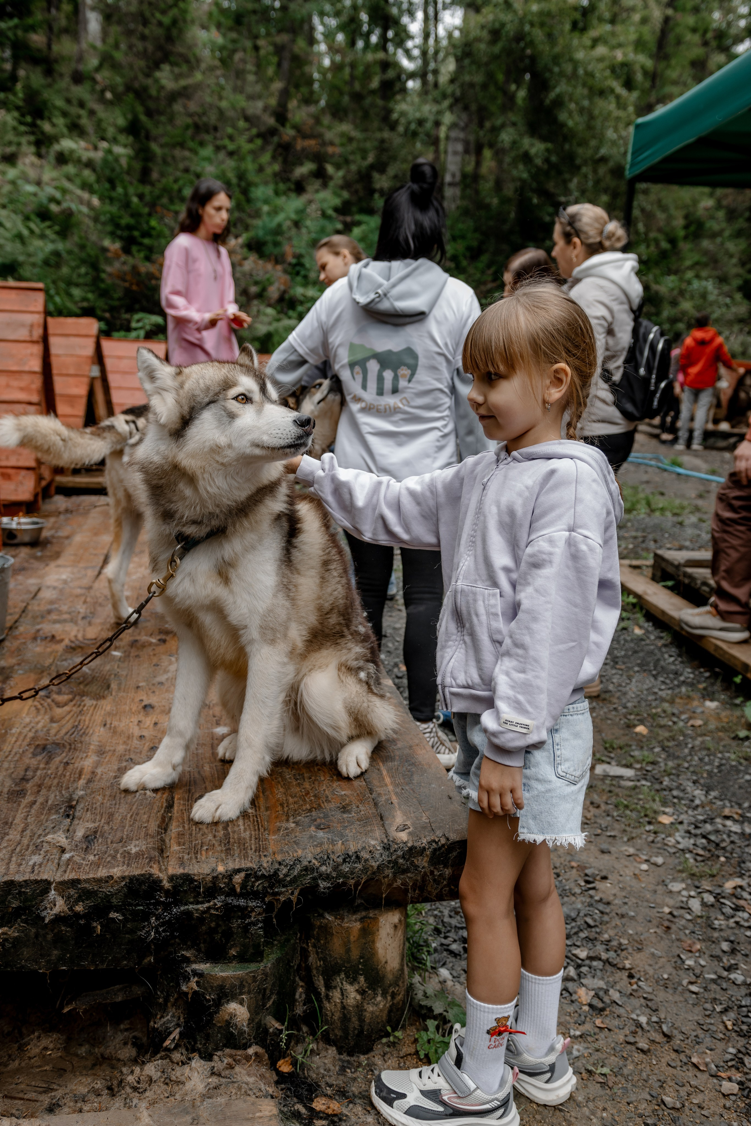 Дог-треккинг