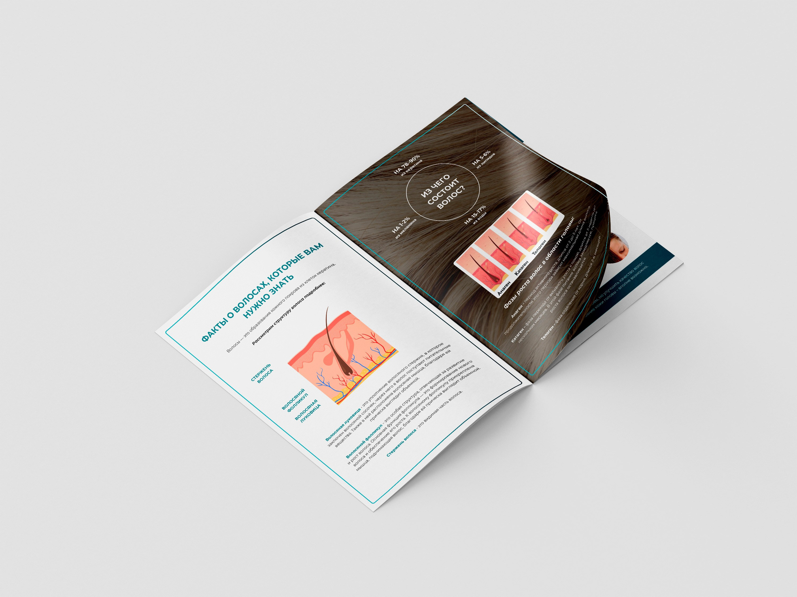 Брендинг NEZHNEL. Л.УМ 48° — дом графического дизайна